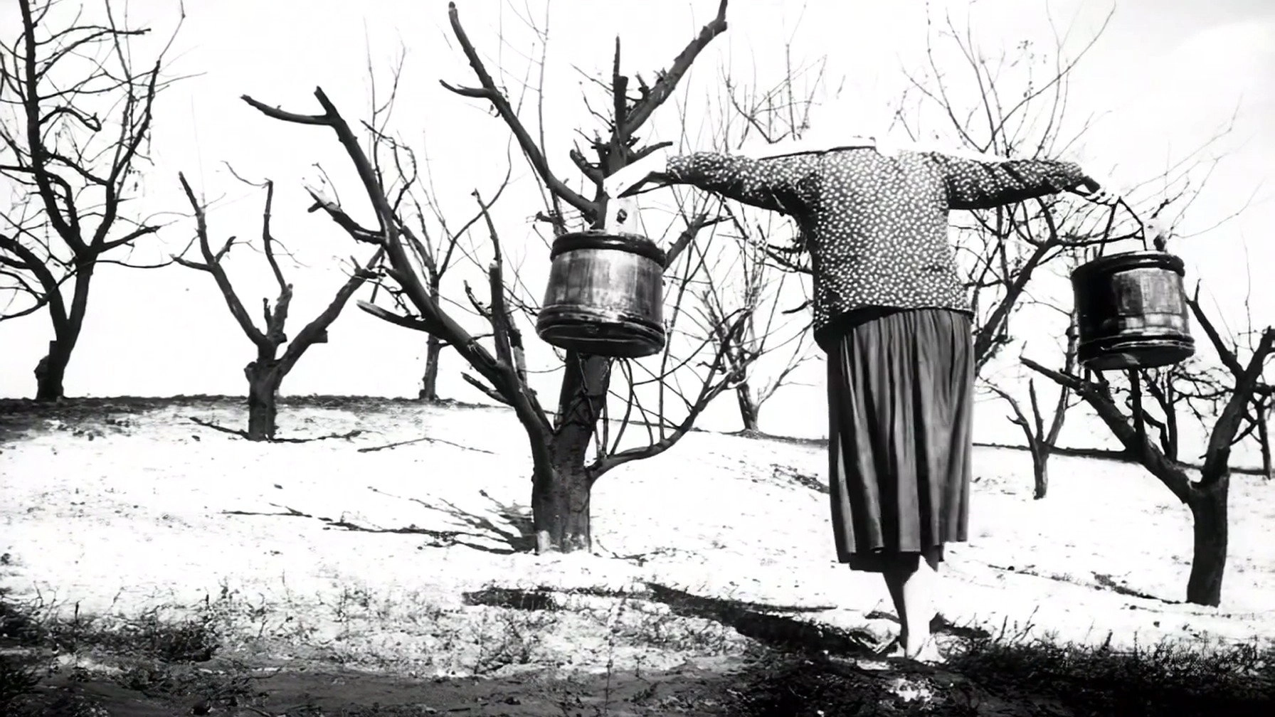 A Spring for the Thirsty