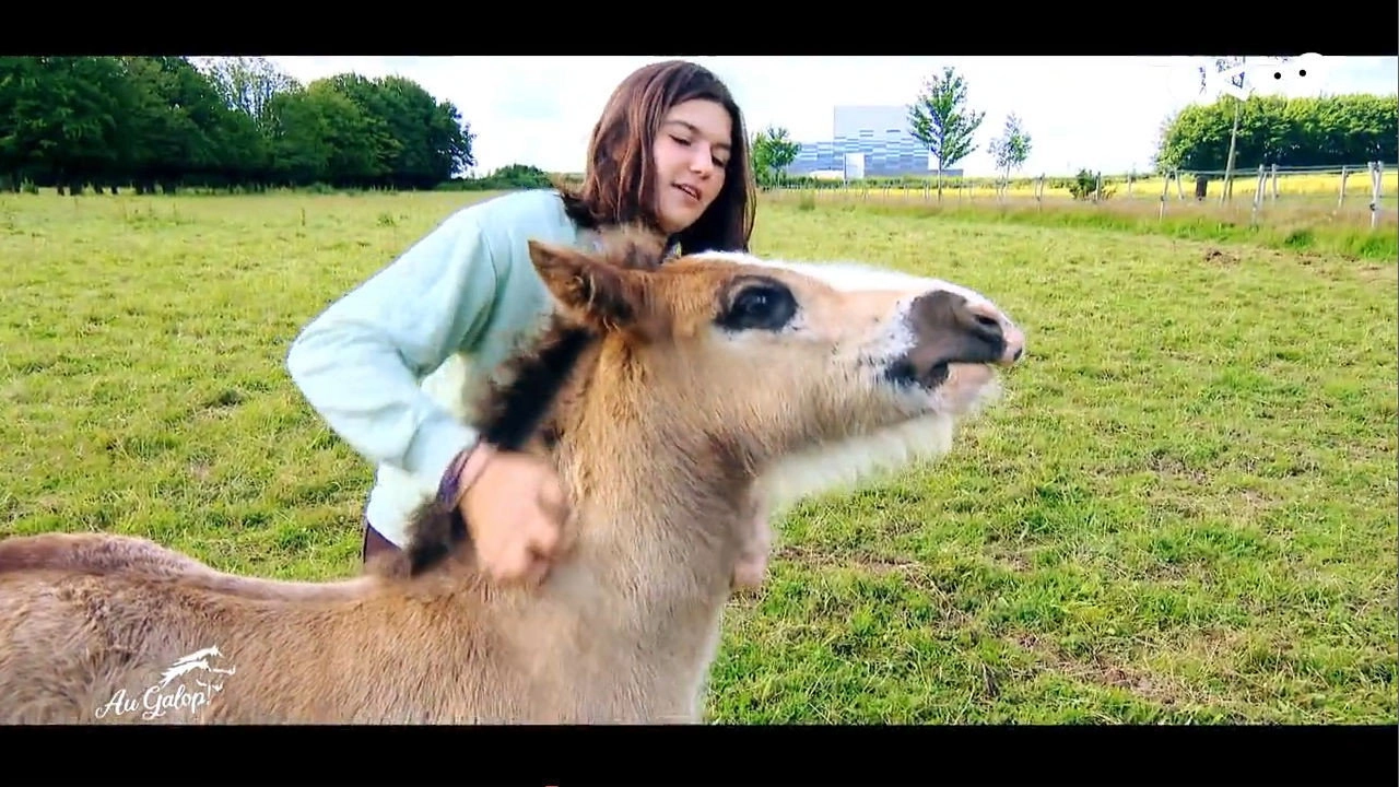 Au galop ! une saison à cheval
