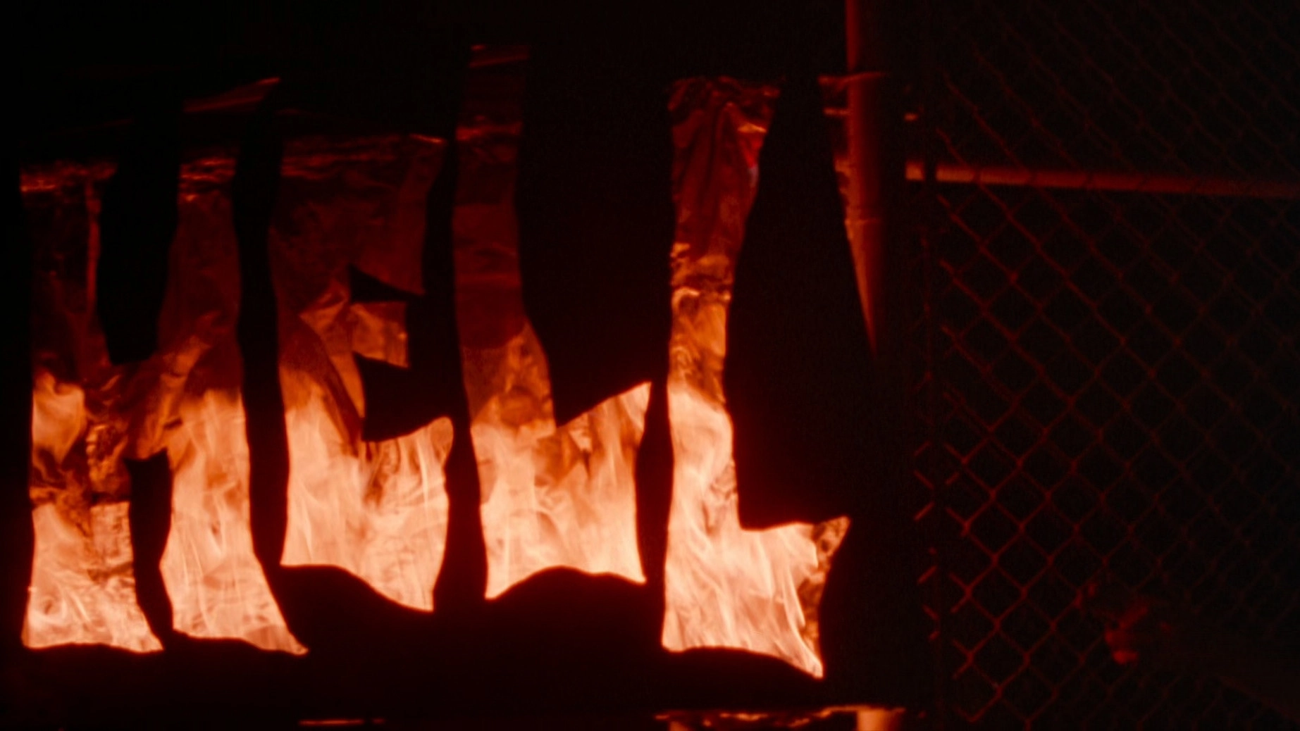 The Doom Generation