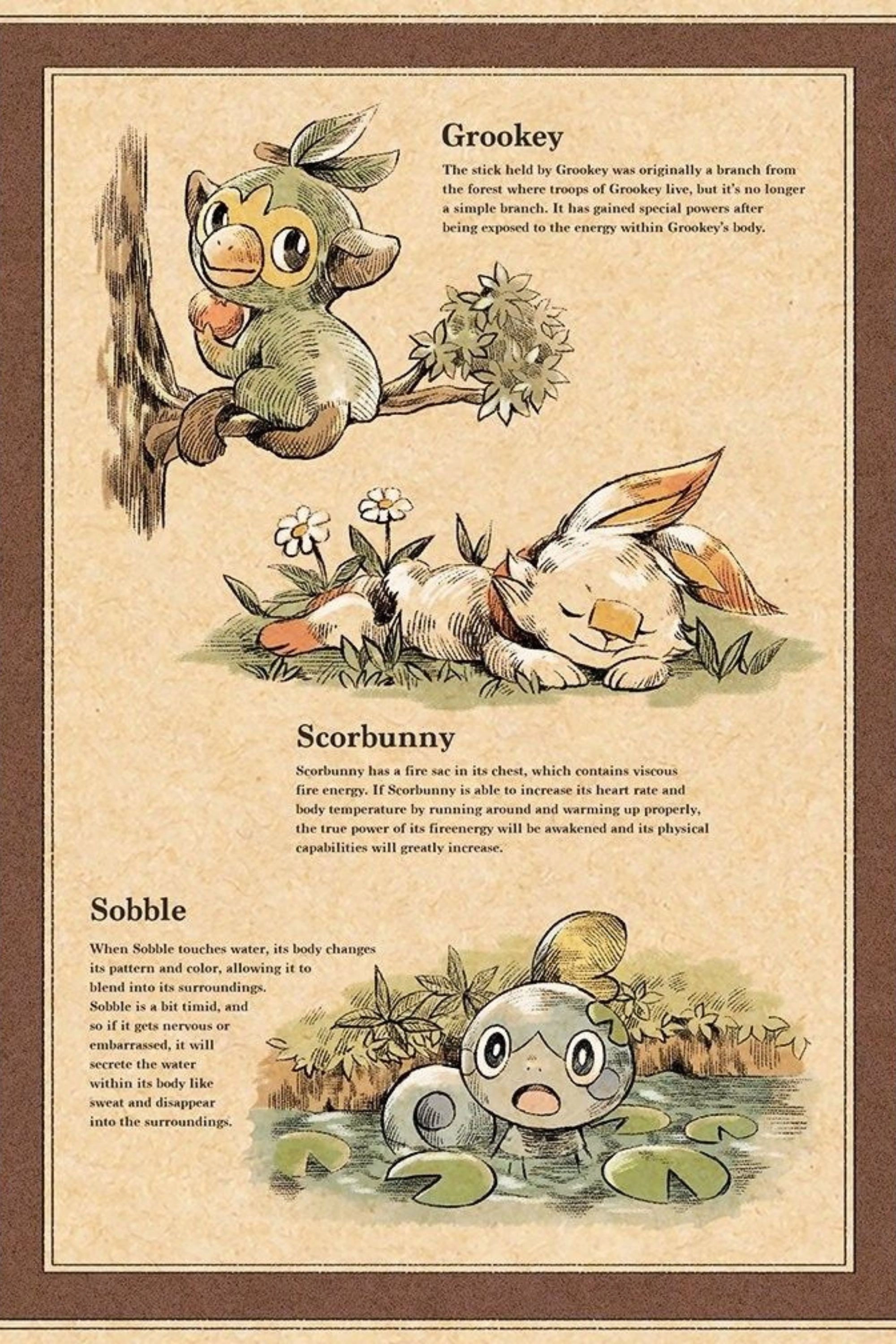 Pokémon