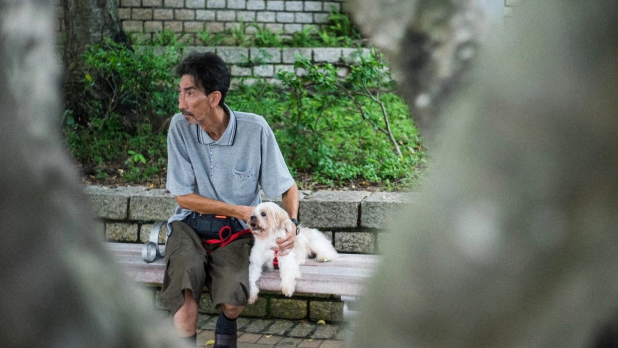 Old Man and A Dog
