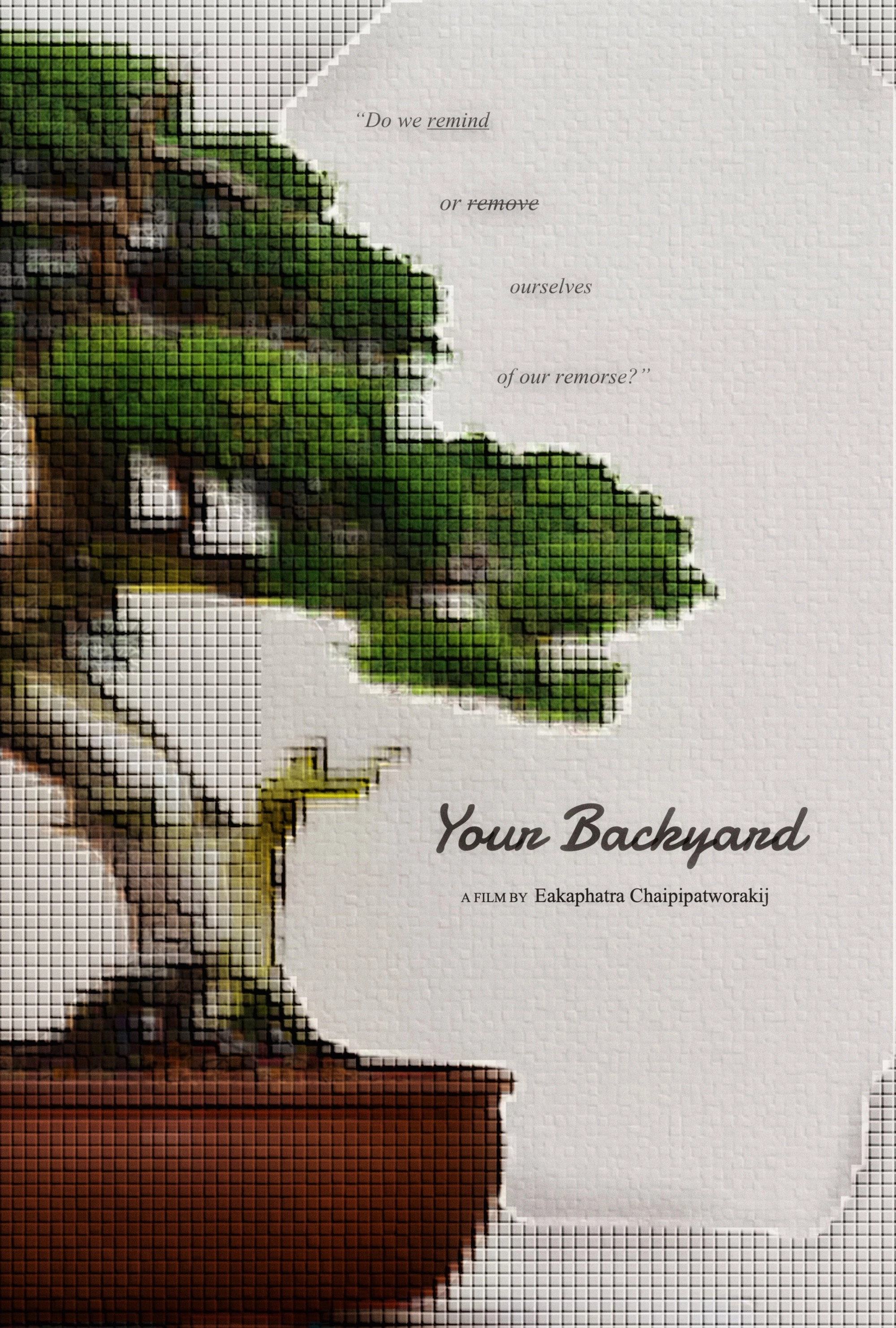 Your Backyard