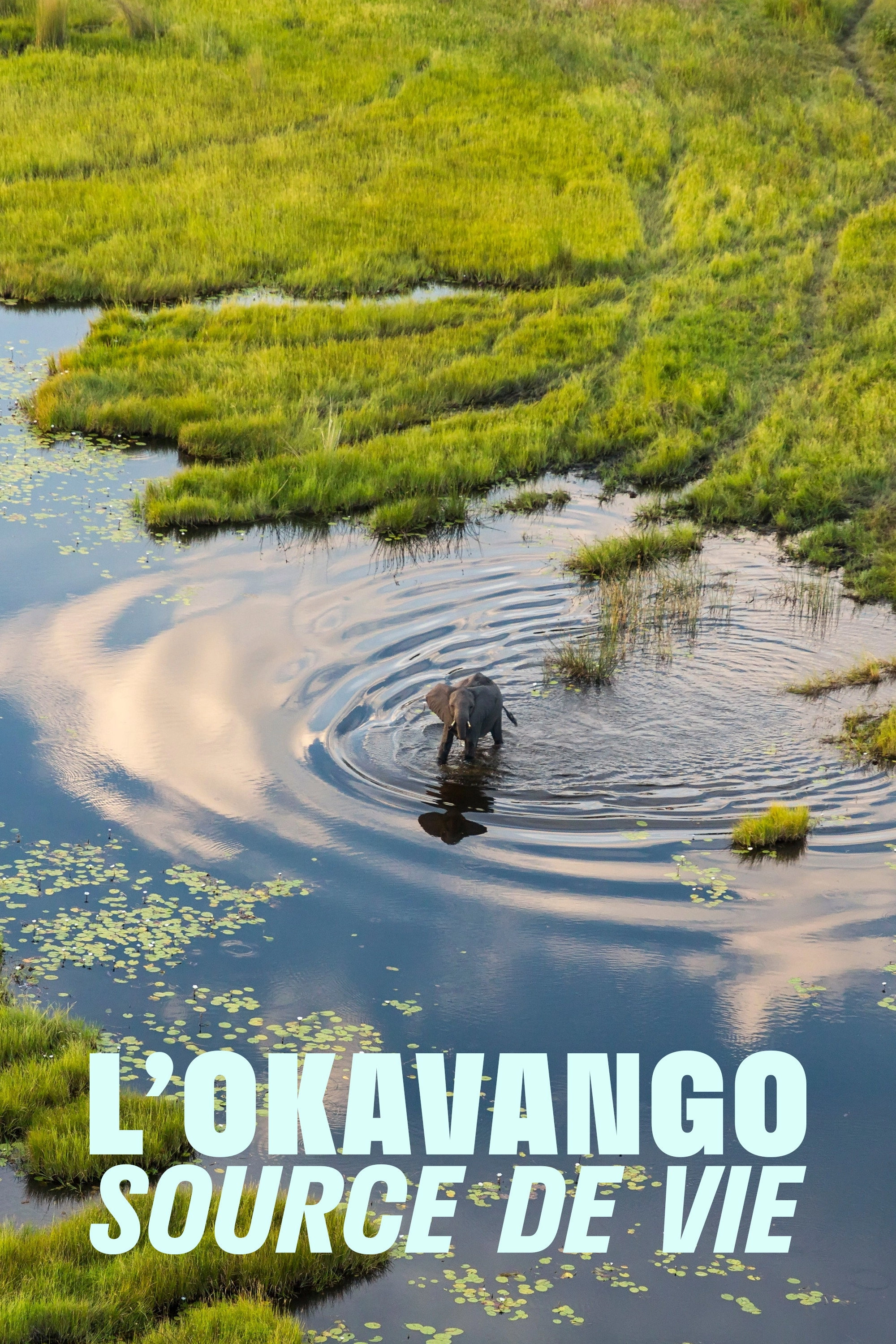 Okavango: A Flood of Life