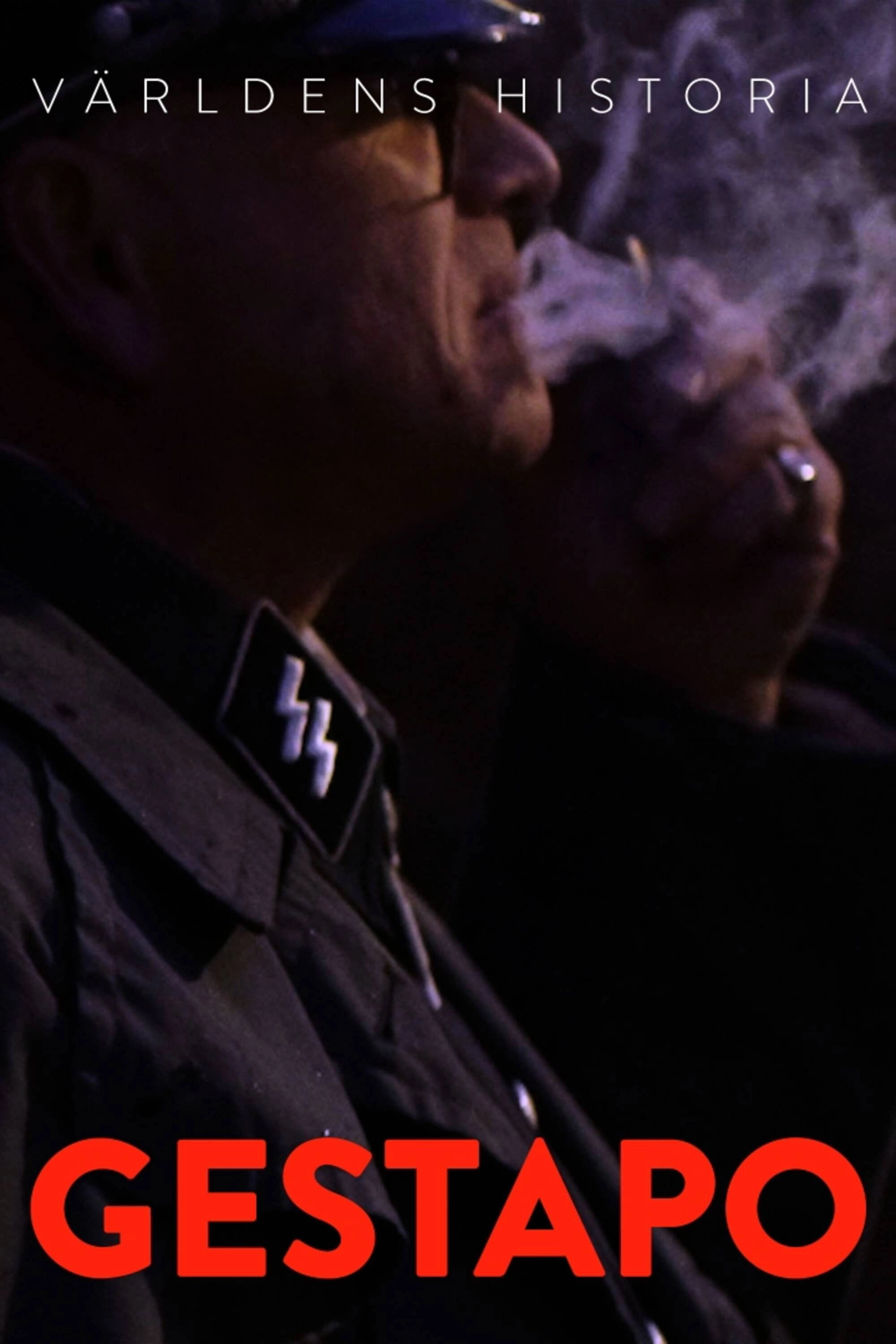 Gestapo: Hitler's Secret Police
