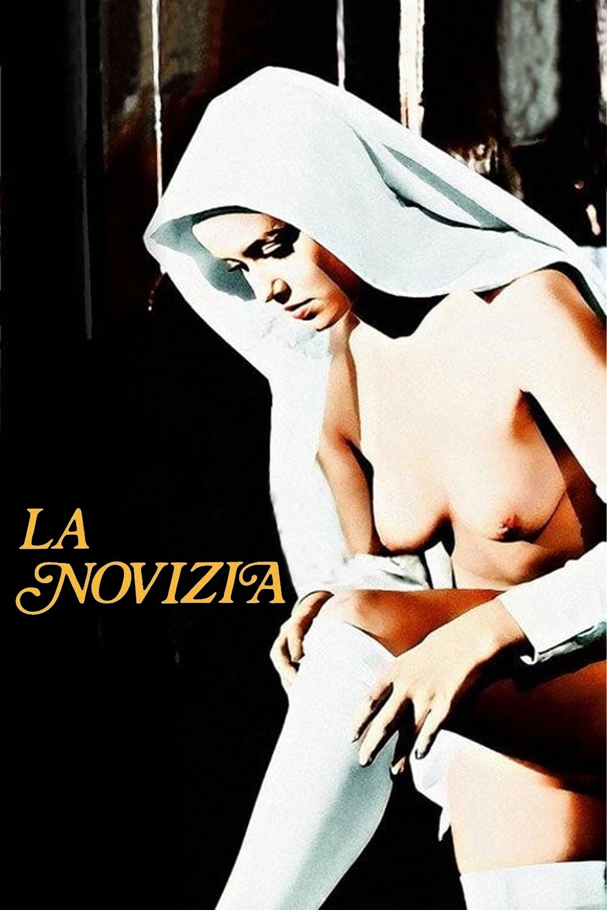 The Novice