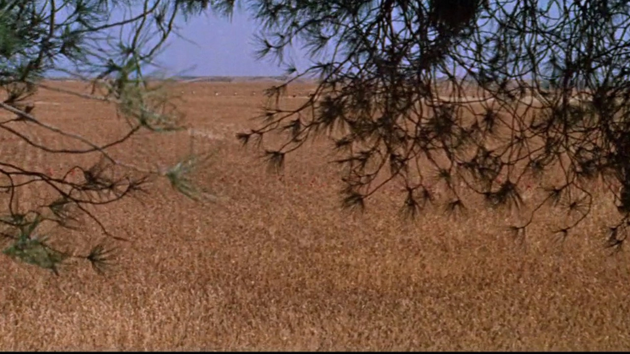 Doctor Zhivago