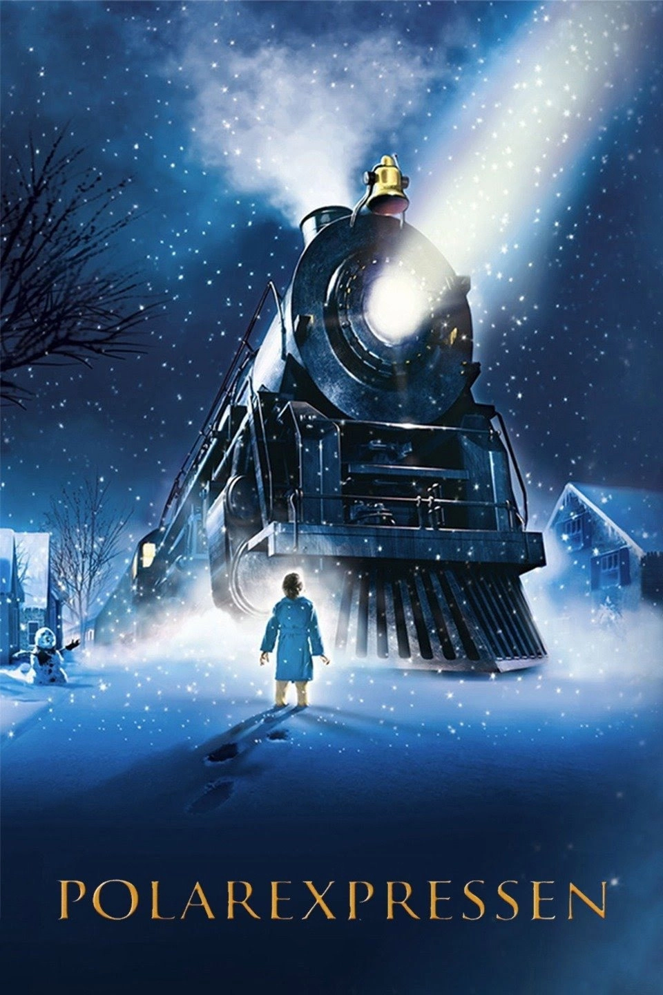 The Polar Express