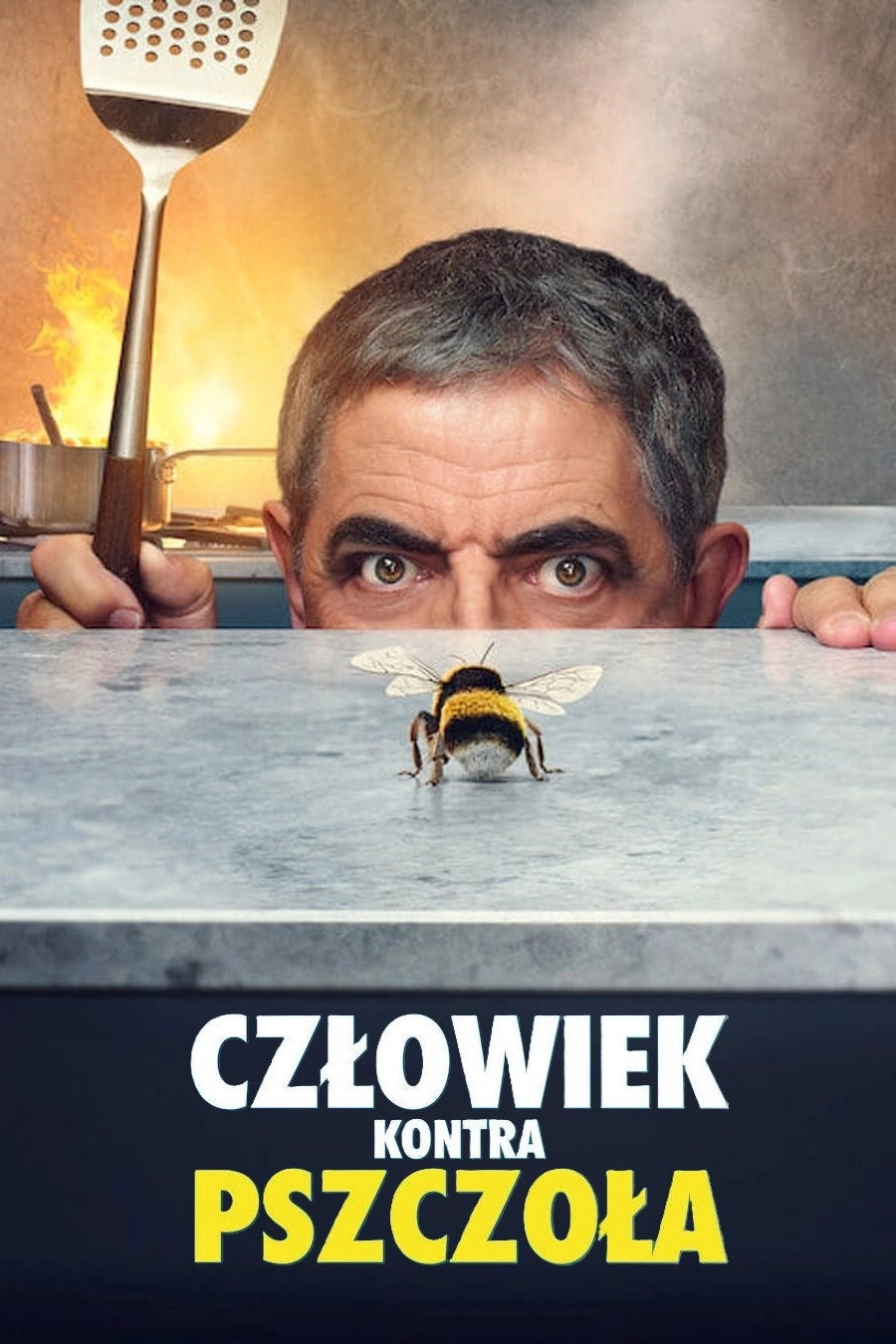 Man vs Bee