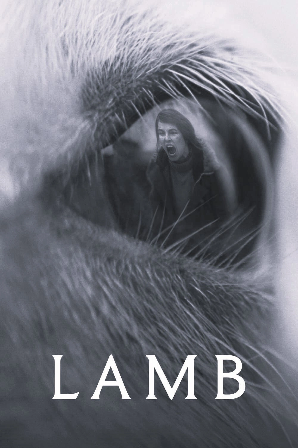 Lamb