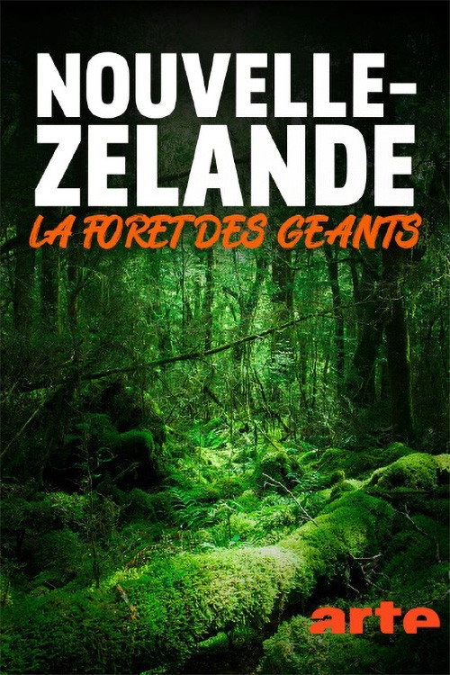 Nouvelle-Zélande, la forêt des géants