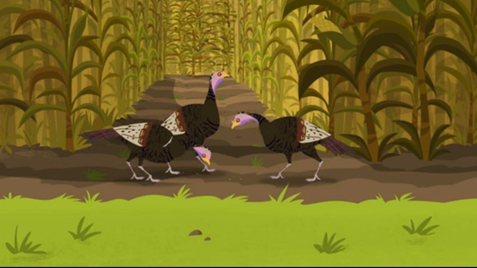 Wild Kratts