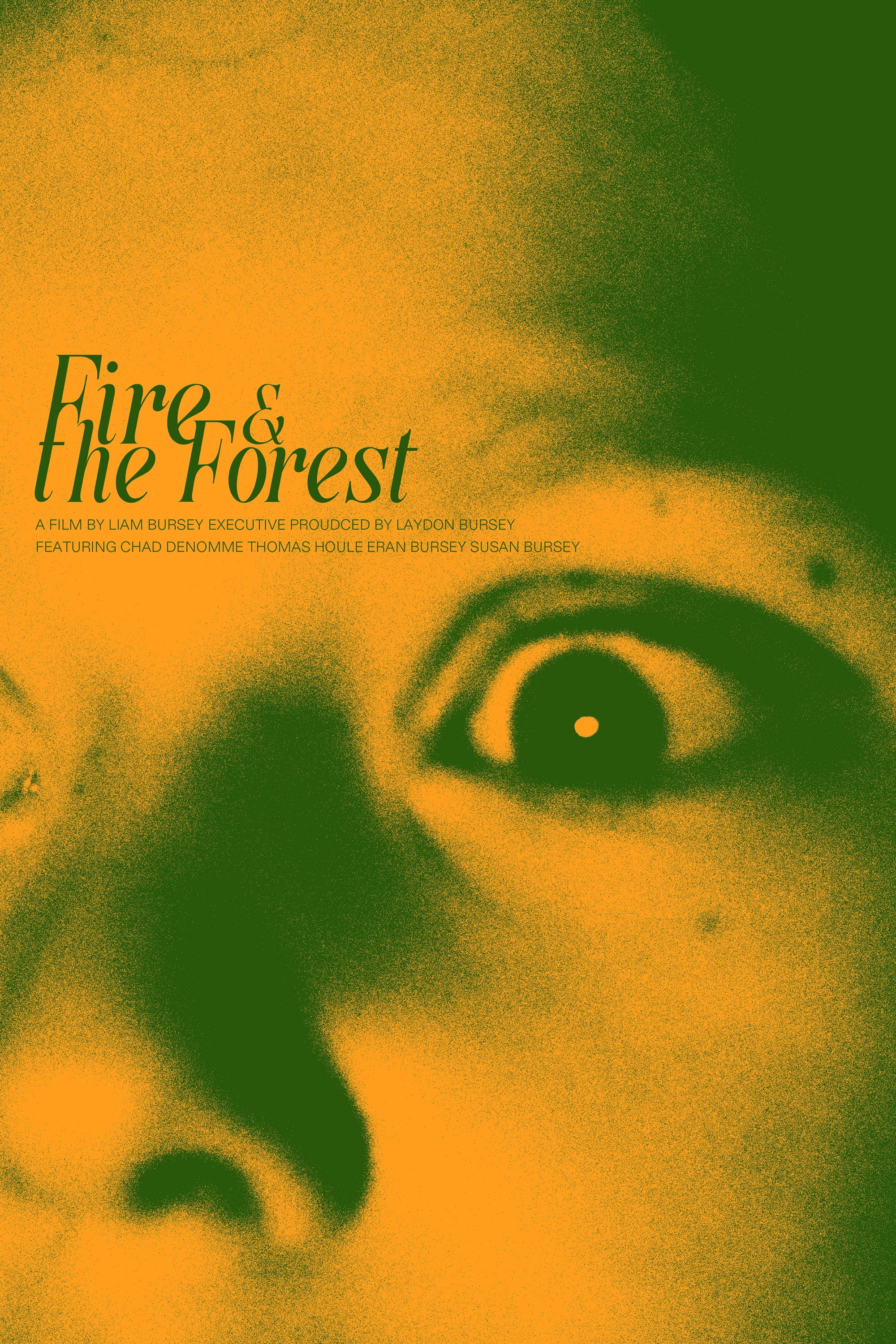 Fire and the Forest