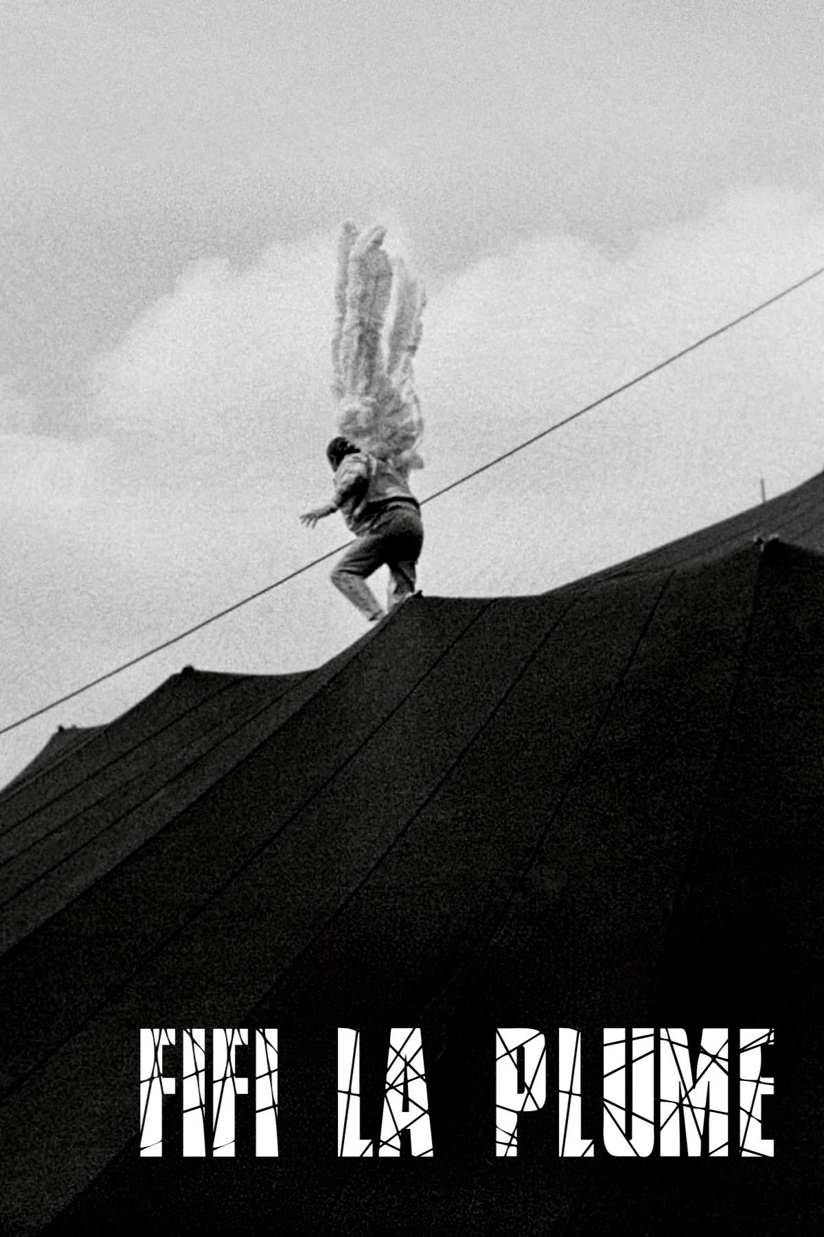 Circus Angel