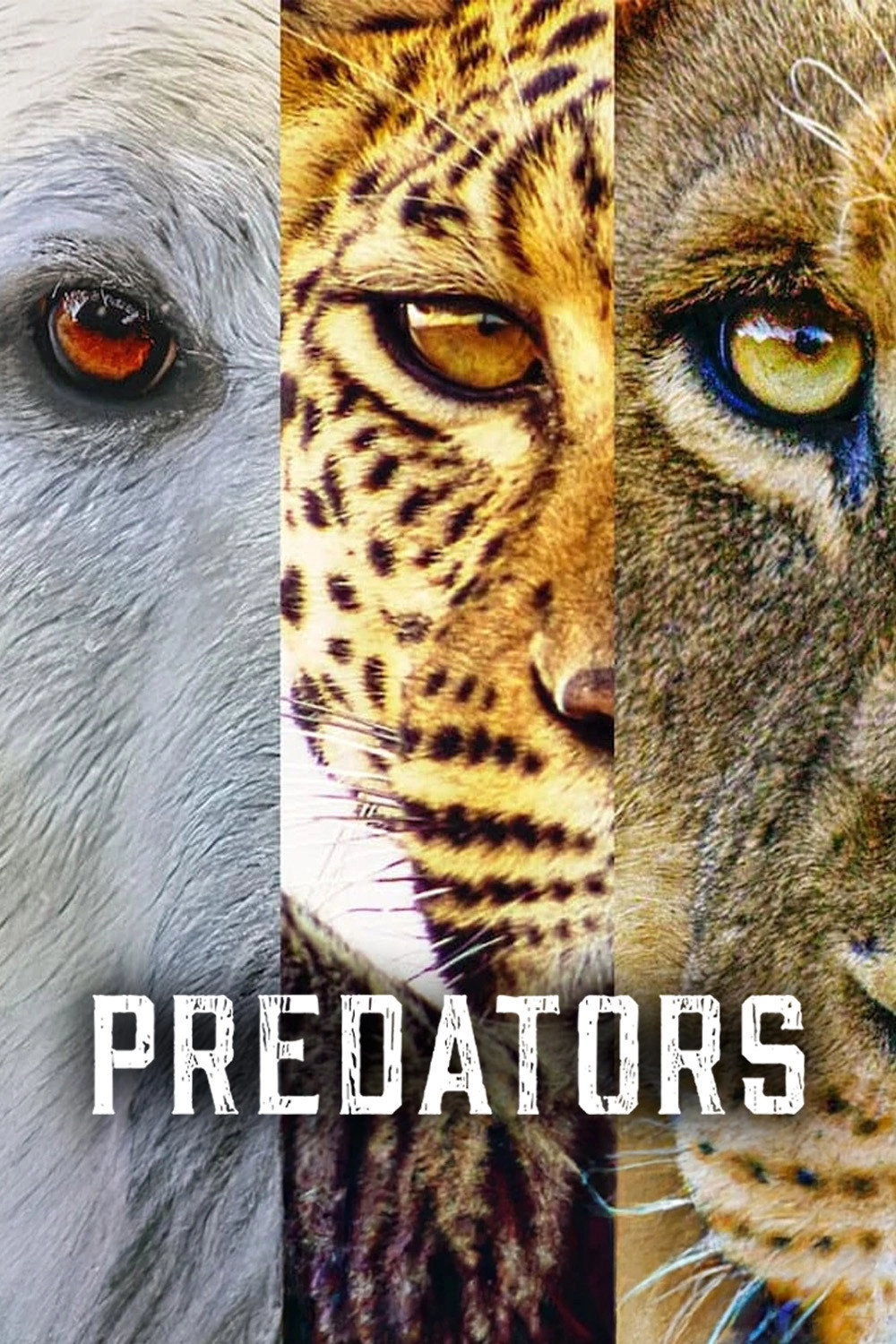 Predators