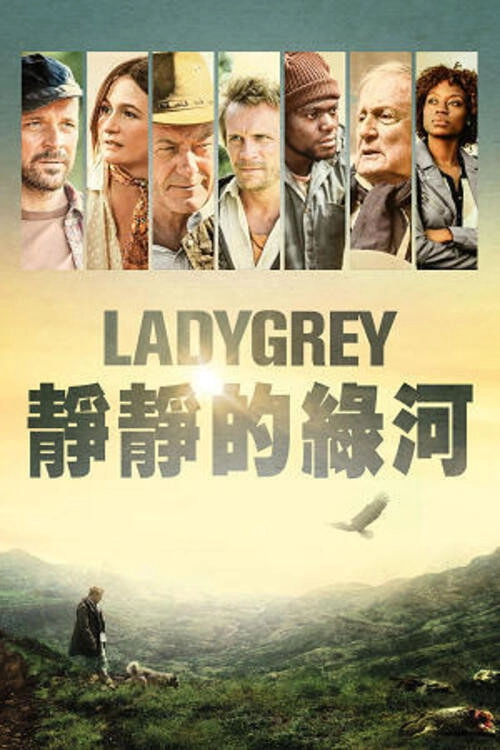 Ladygrey