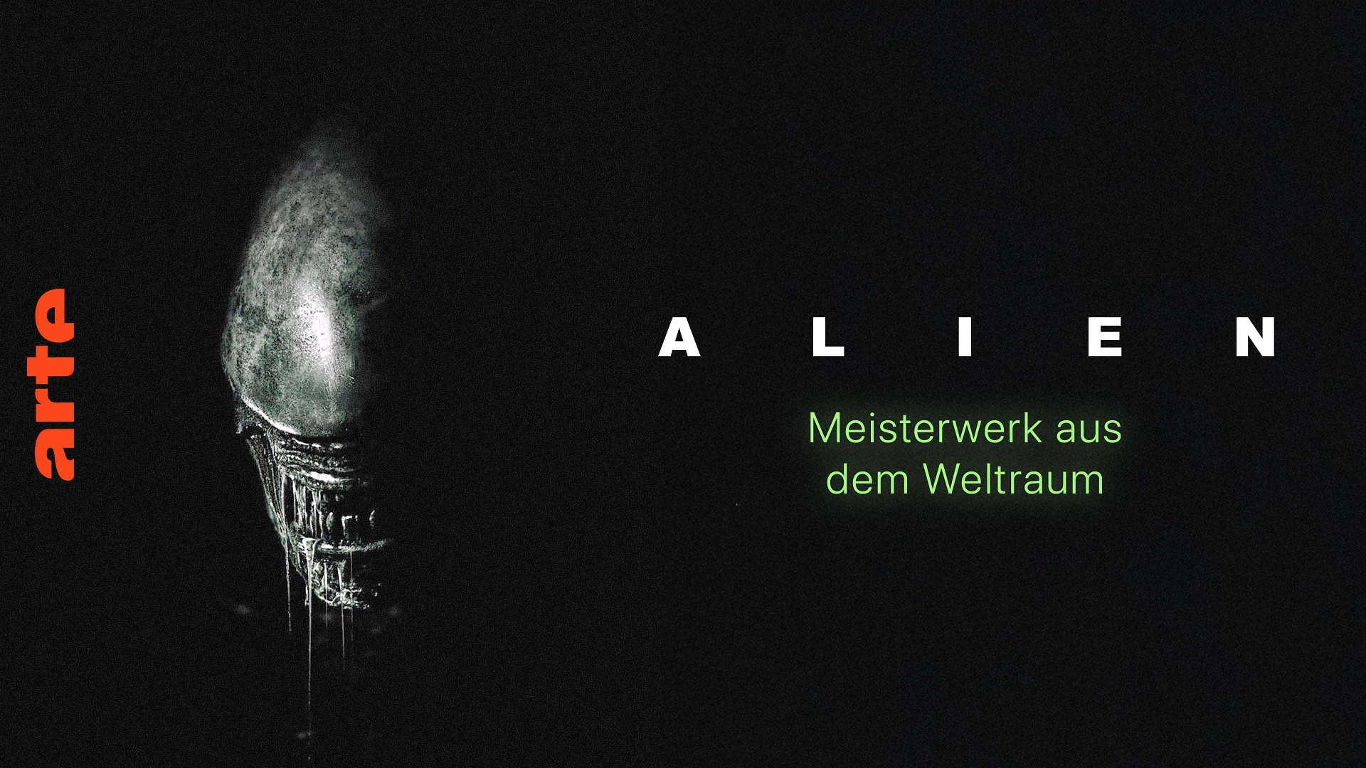 Alien: Terror in Space