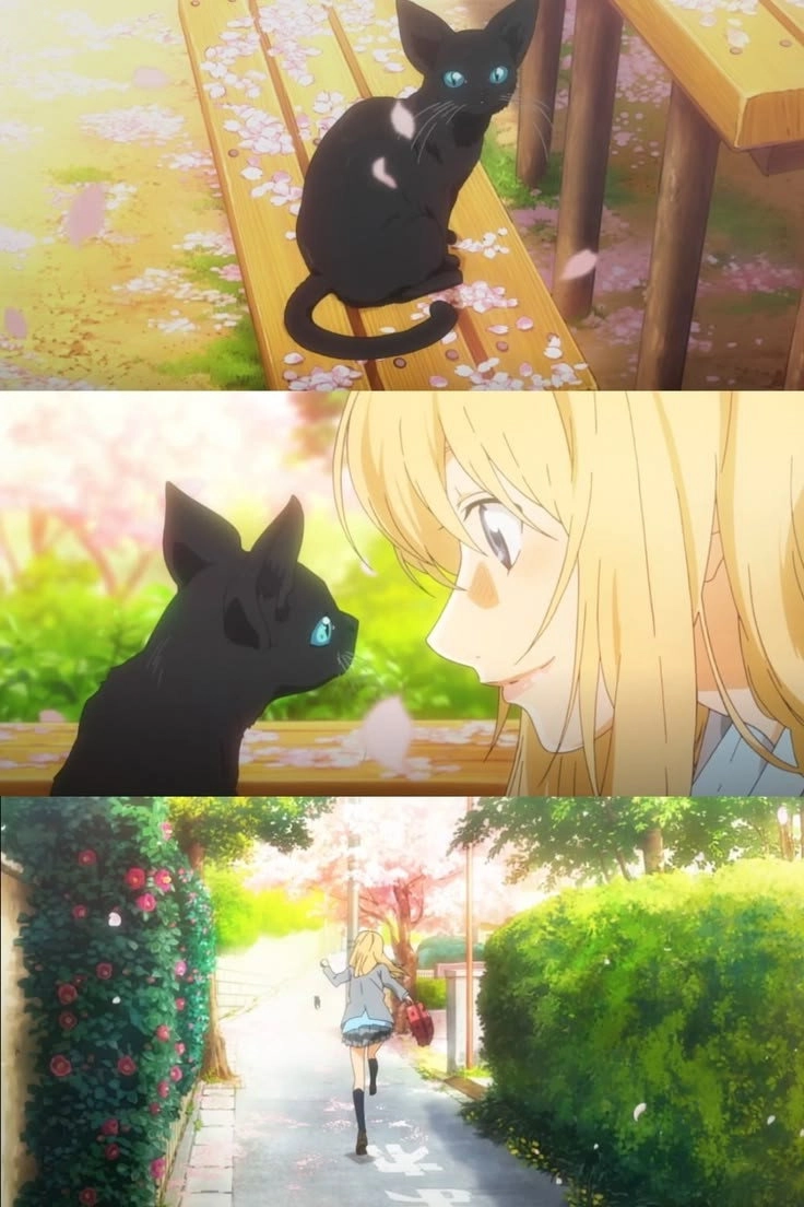 Your Lie in April