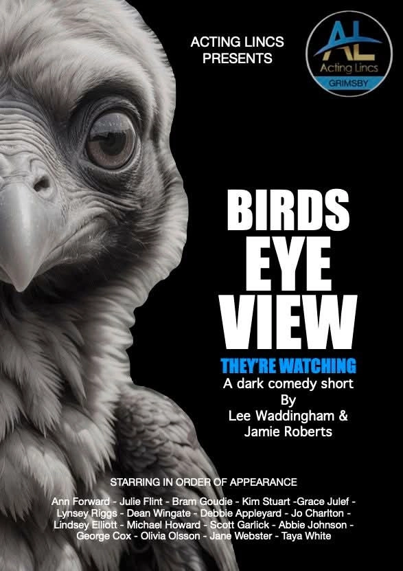 Birds Eye View