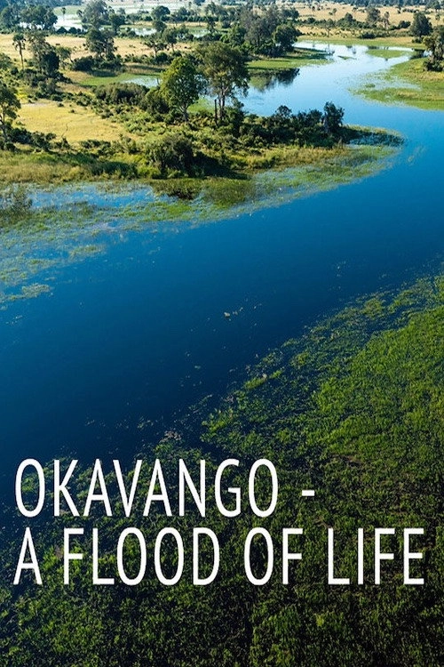 Okavango: A Flood of Life