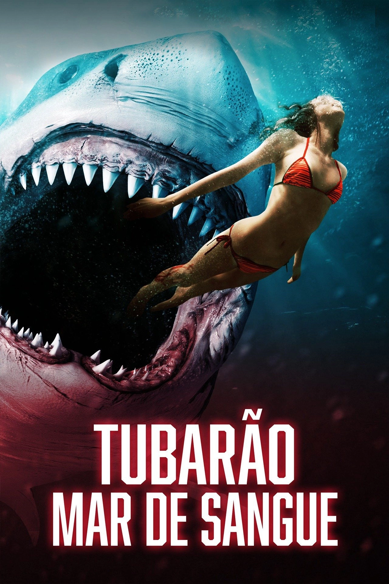 Shark Bait