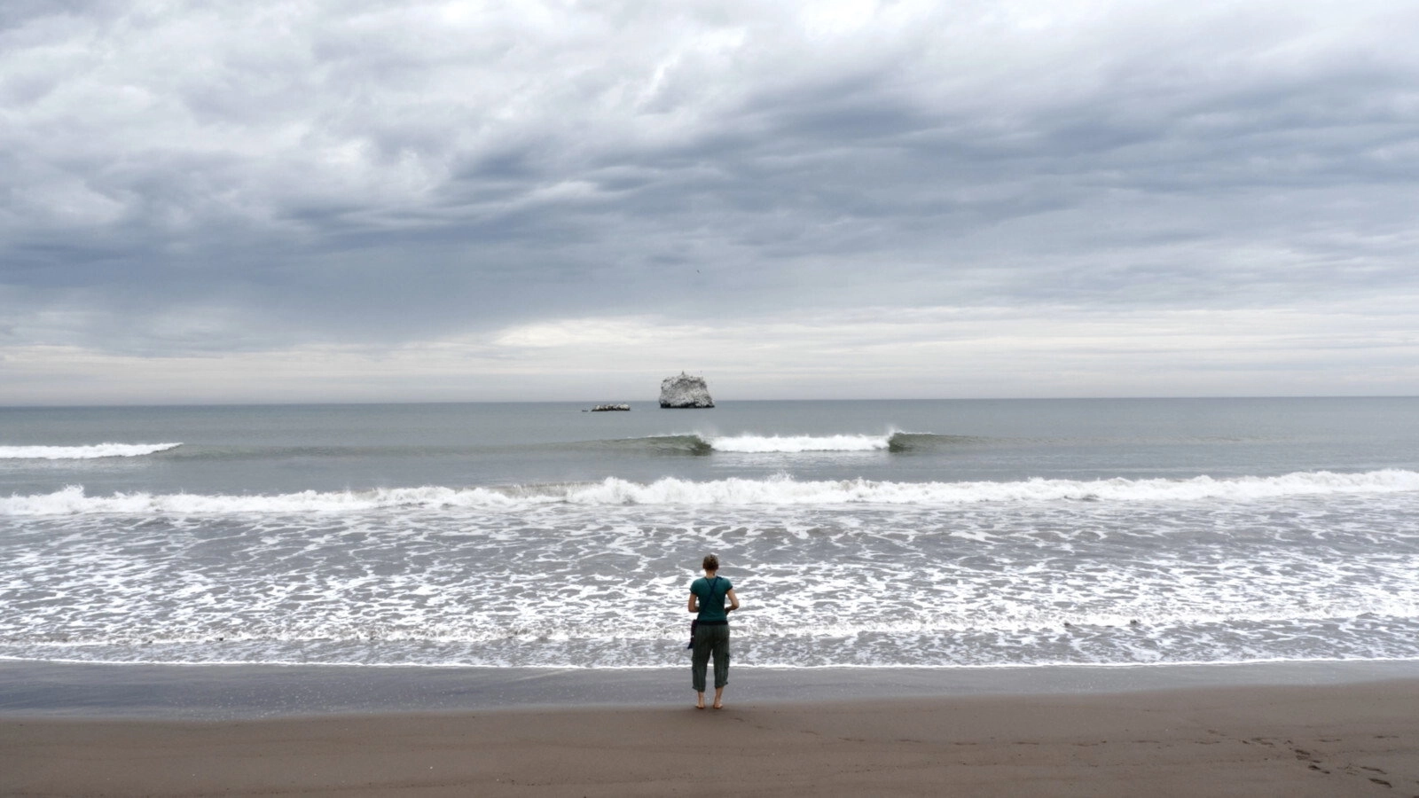 Aware: Glimpses of Consciousness