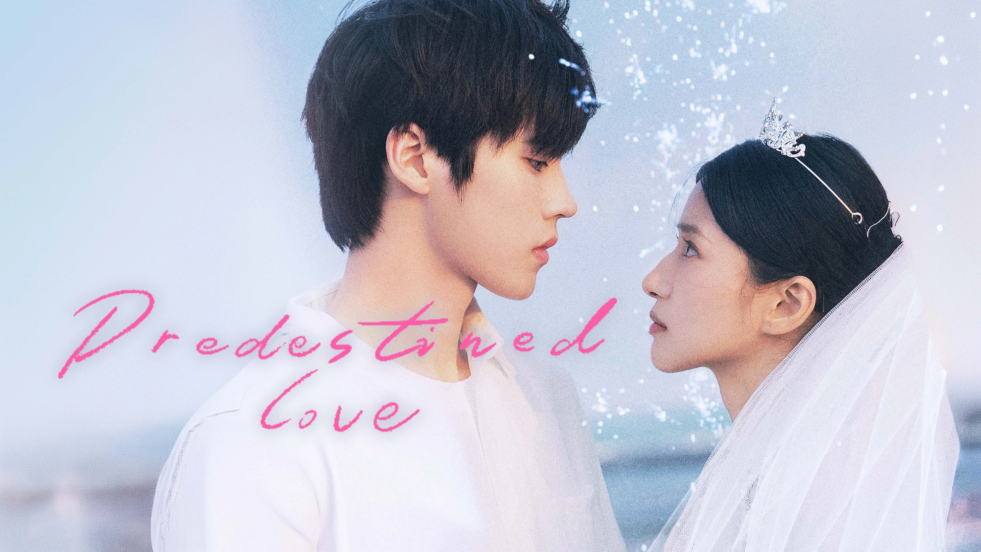 Predestined Love