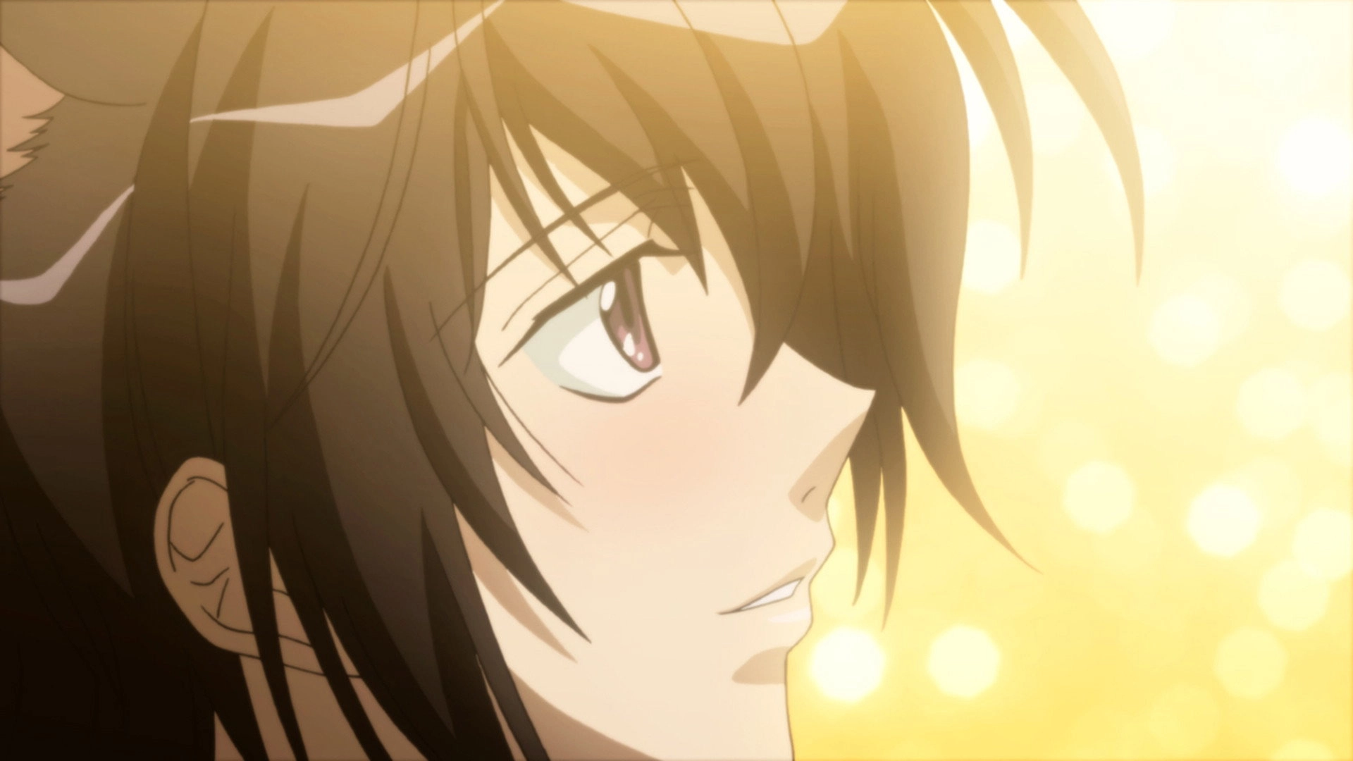 Loveless