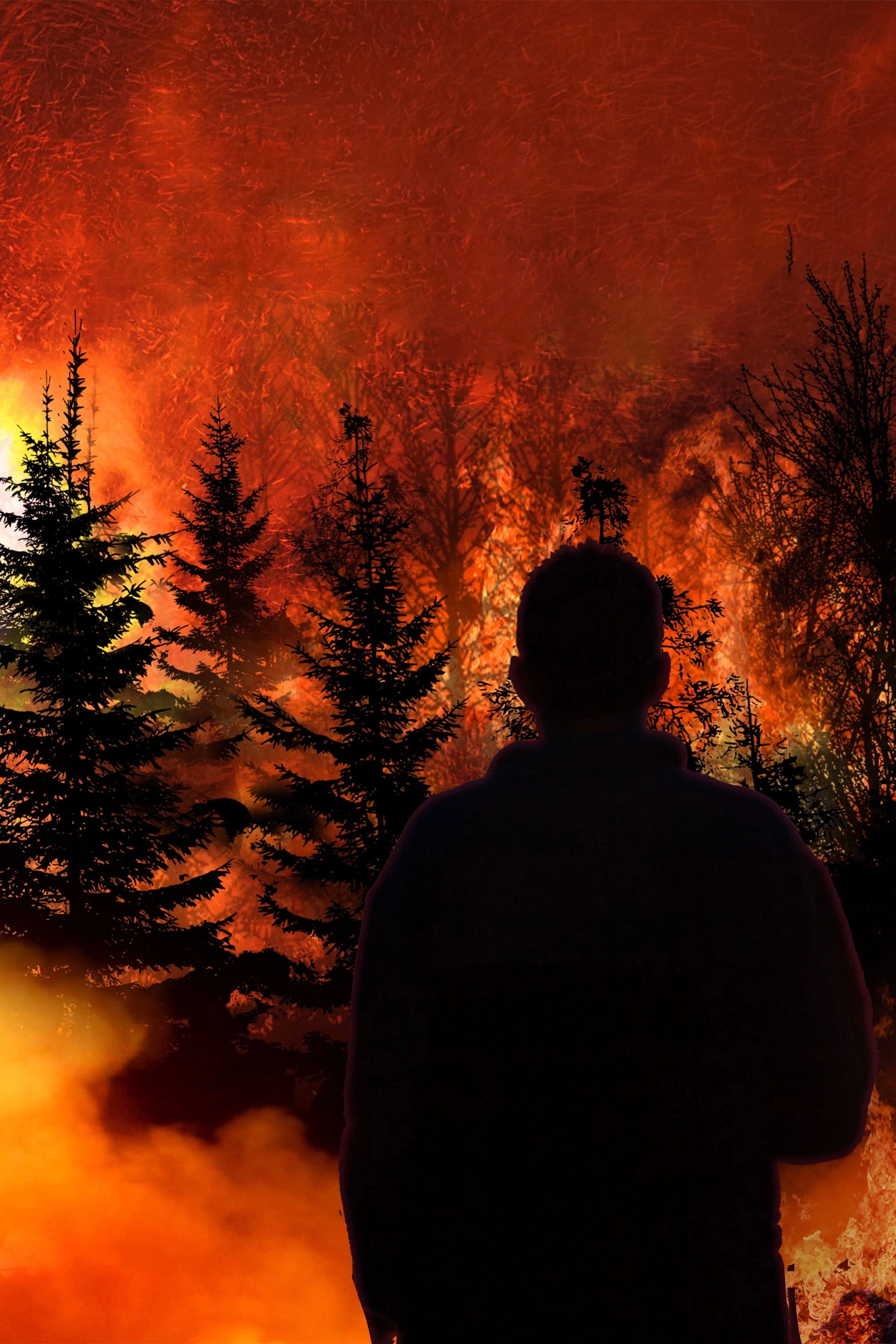 Witness to Disaster