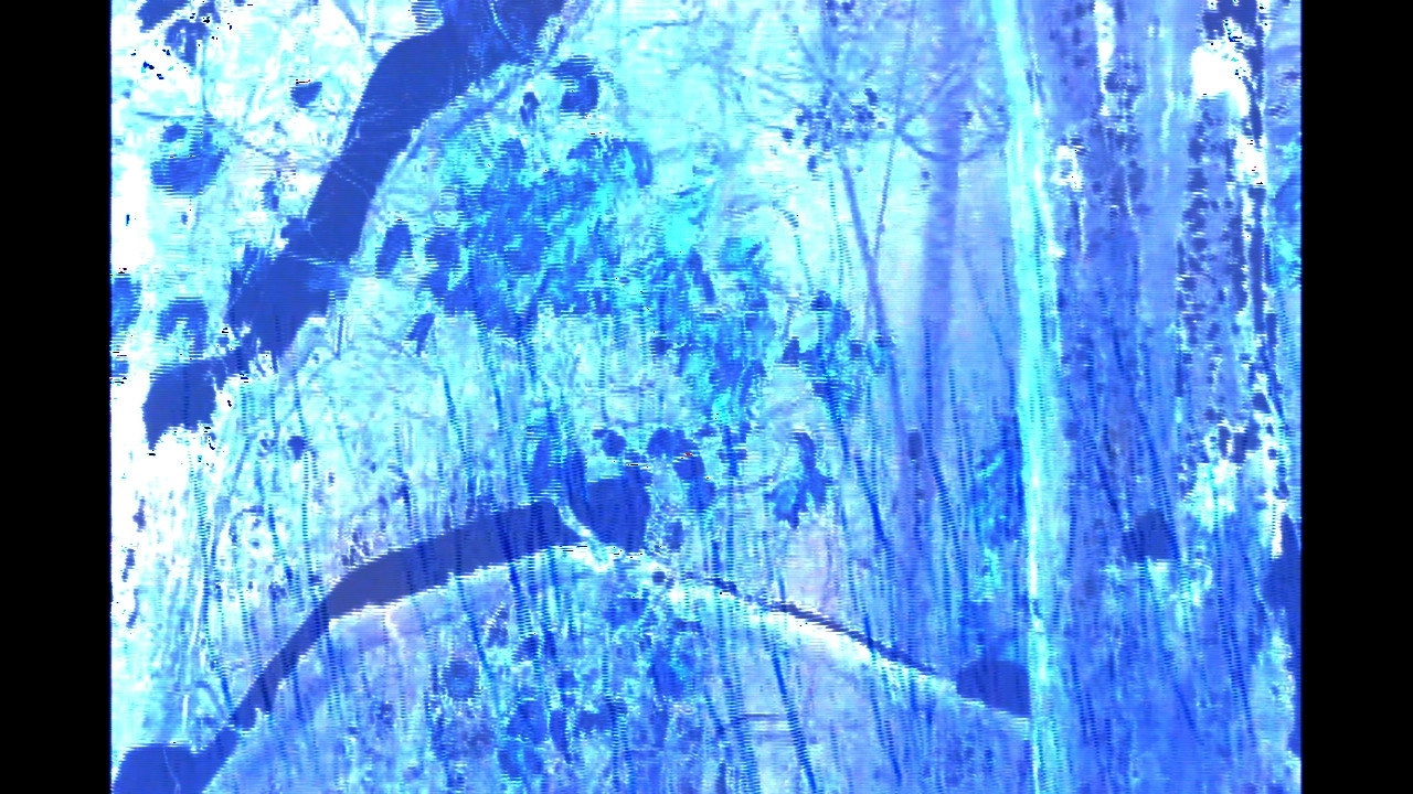 Ta cong wu zhong lai