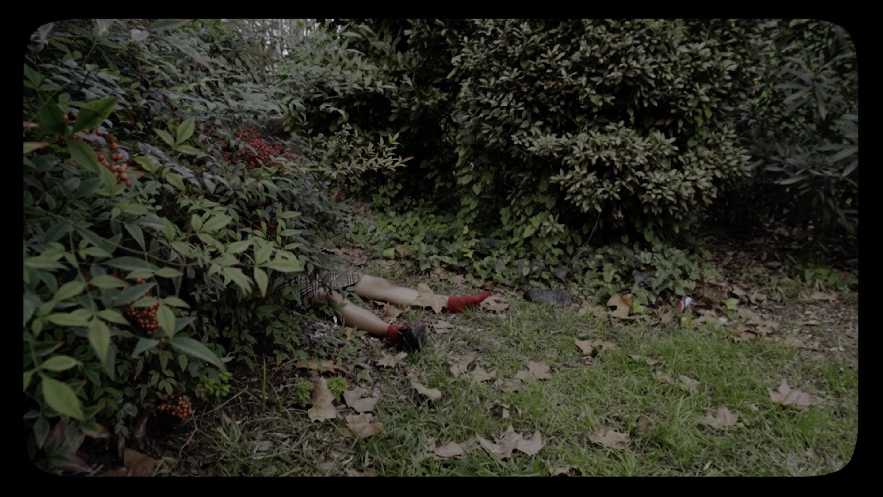 Bodies of Mary