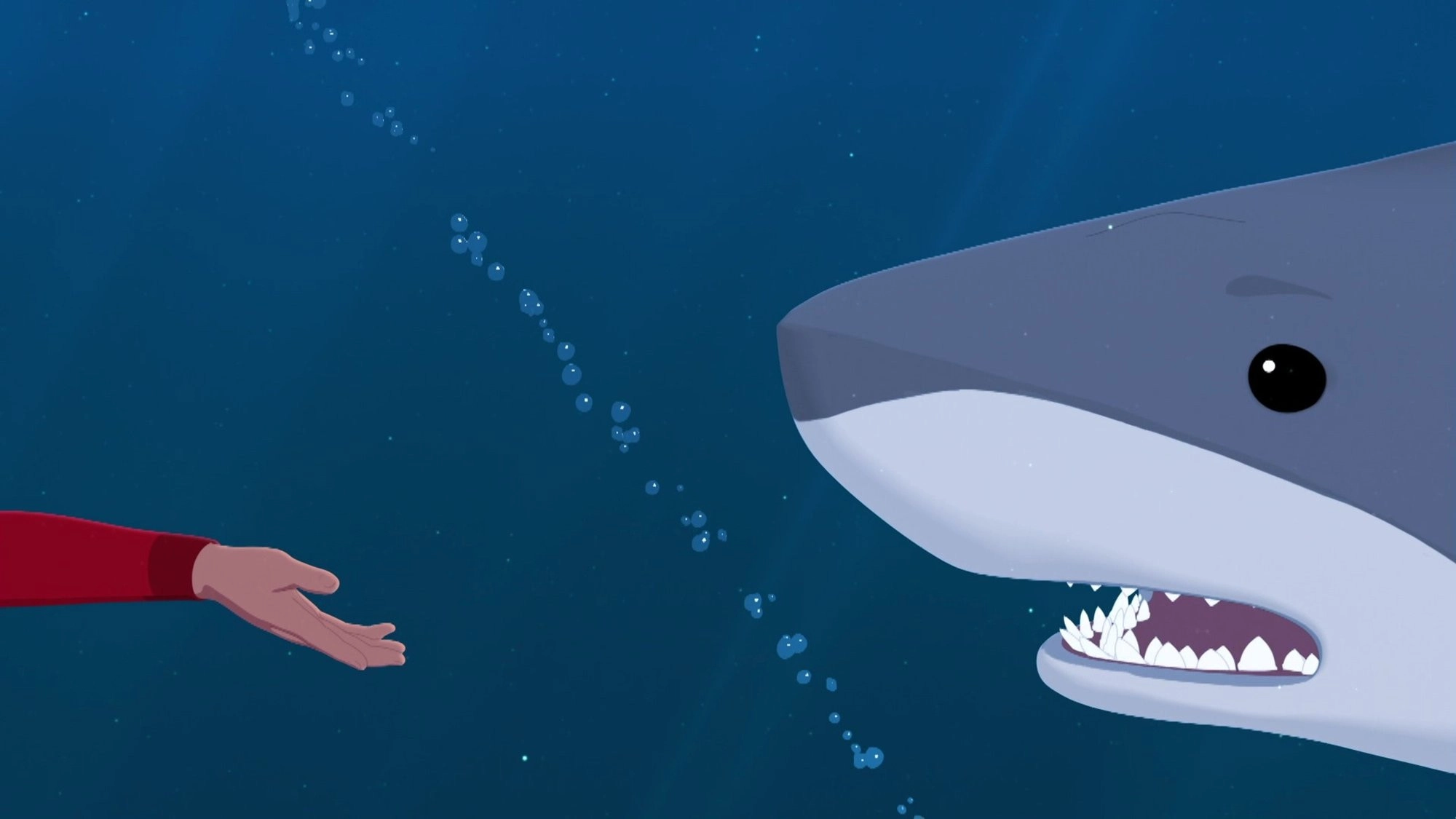 Zoom the White Dolphin