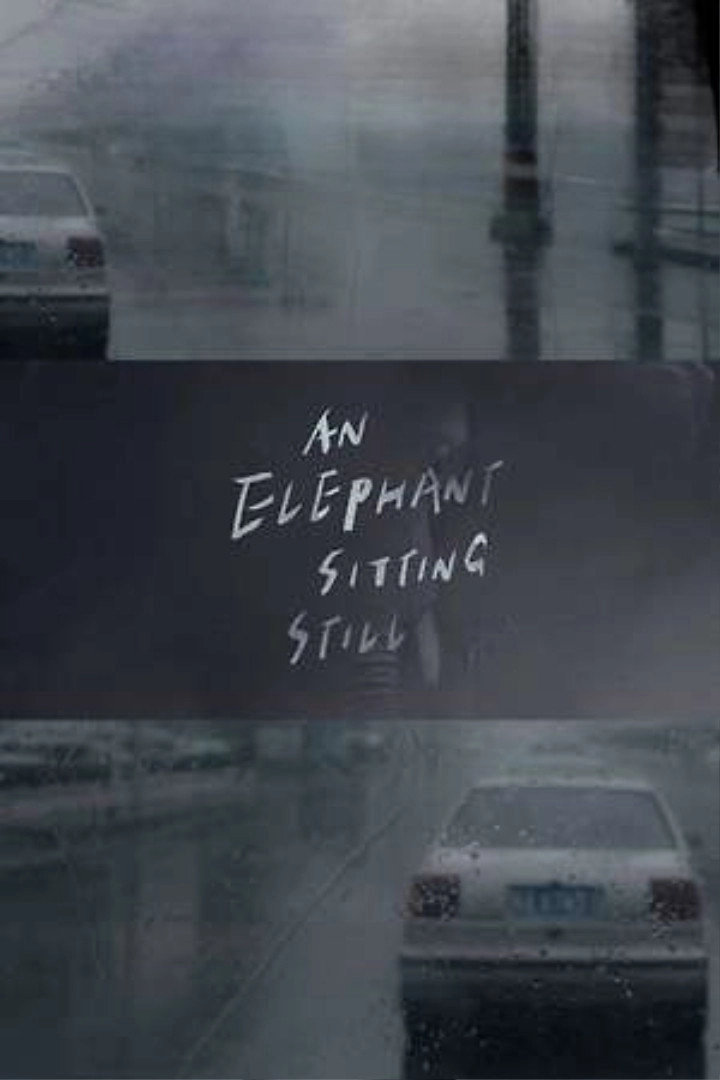 An Elephant Sitting Still