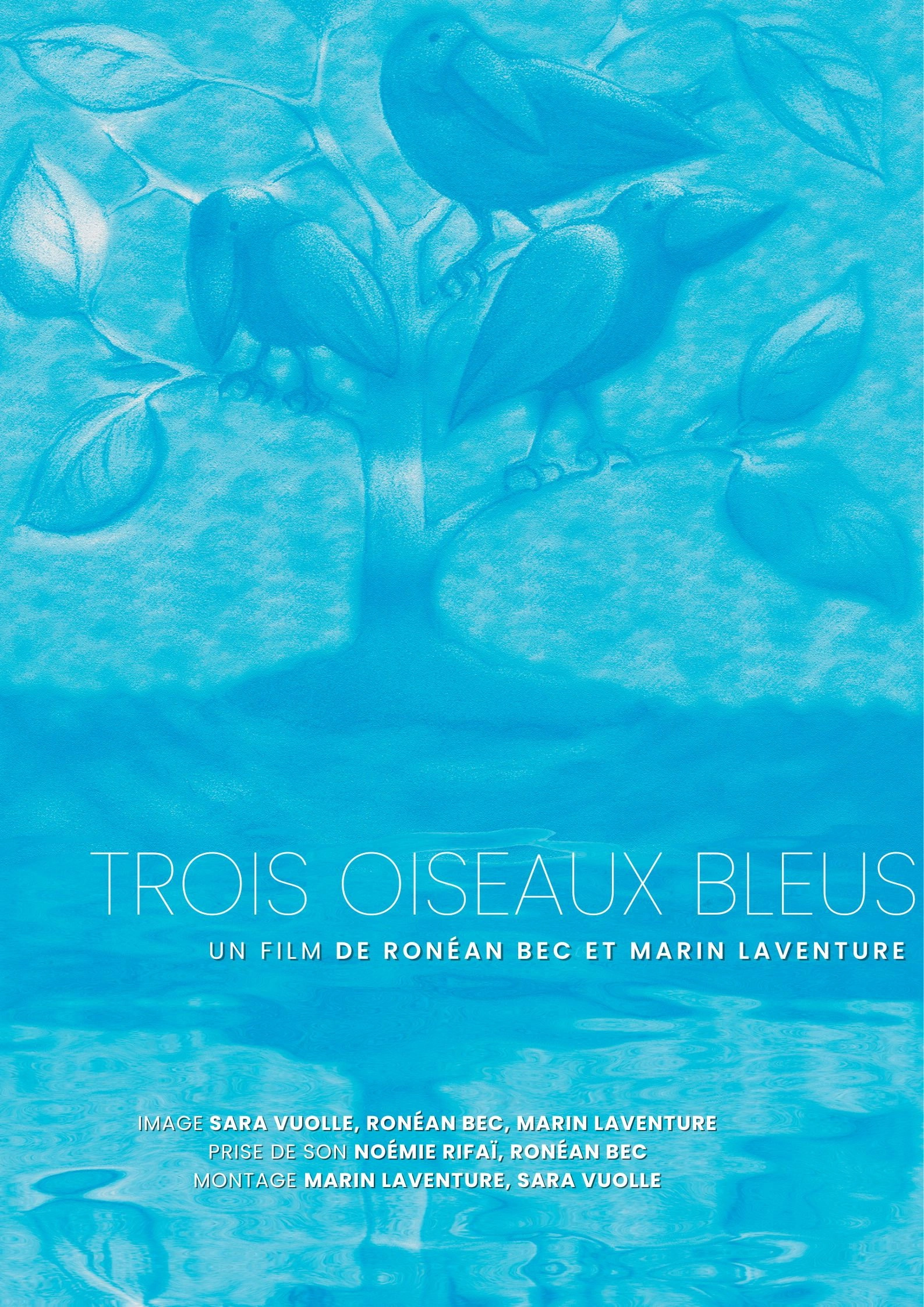 Trois oiseaux bleus