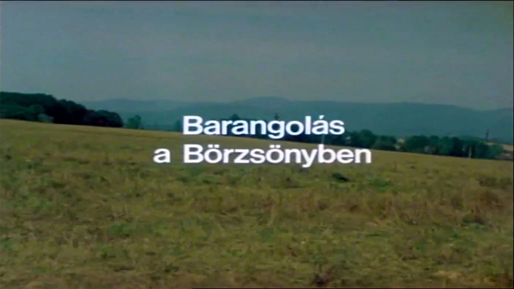 Másfélmillió lépés Magyarországon