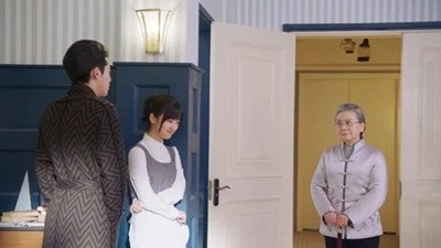 Meteor Garden