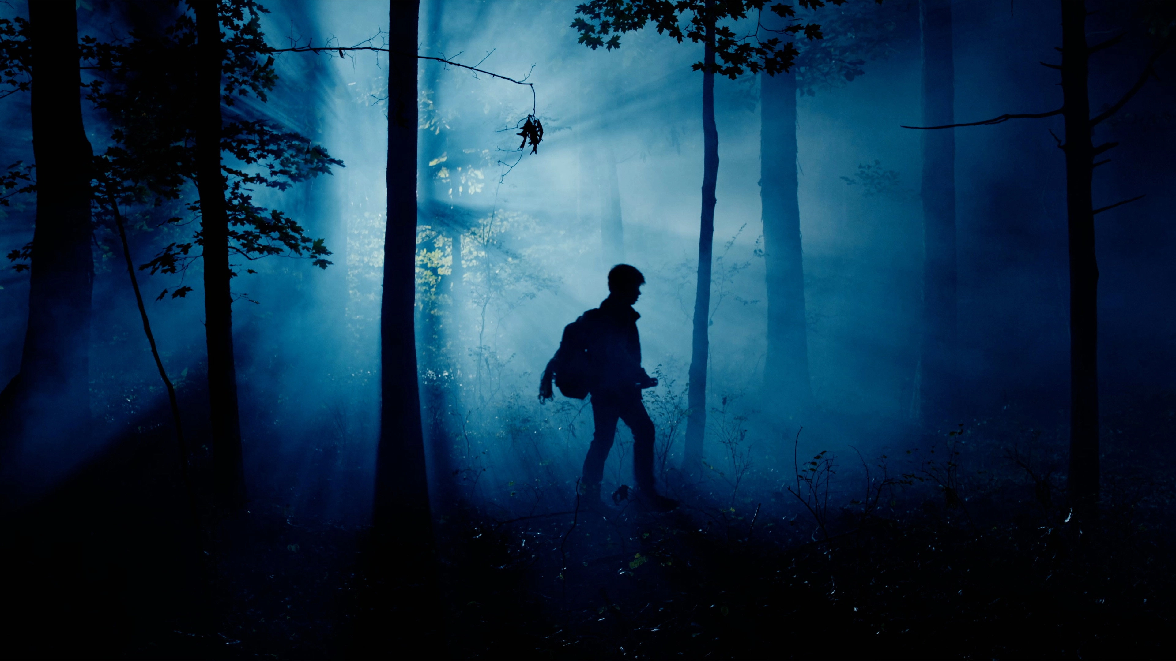 The Wildman of Shaggy Creek