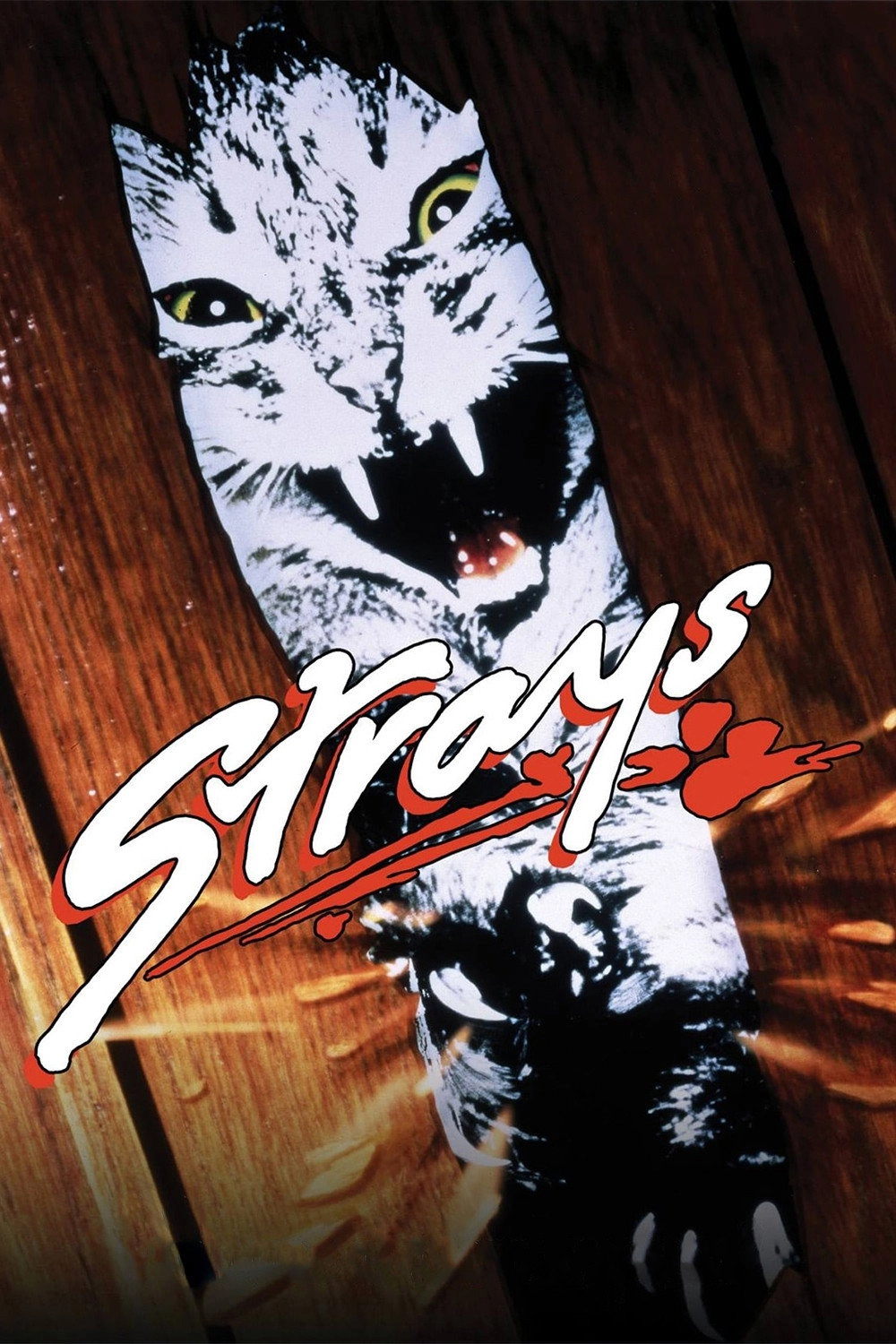 Strays