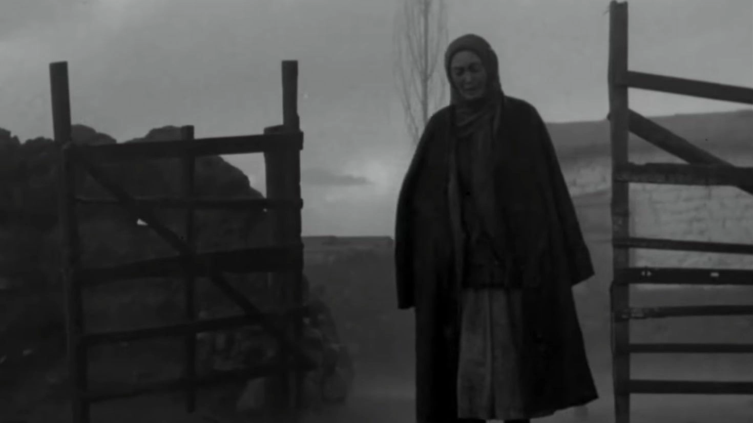 Mother's Field