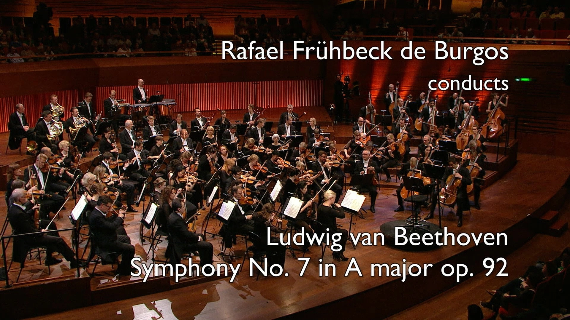 Beethoven: The Symphonies (Rafael Frühbeck de Burgos Conducts the Danish National Symphony Orchestra)