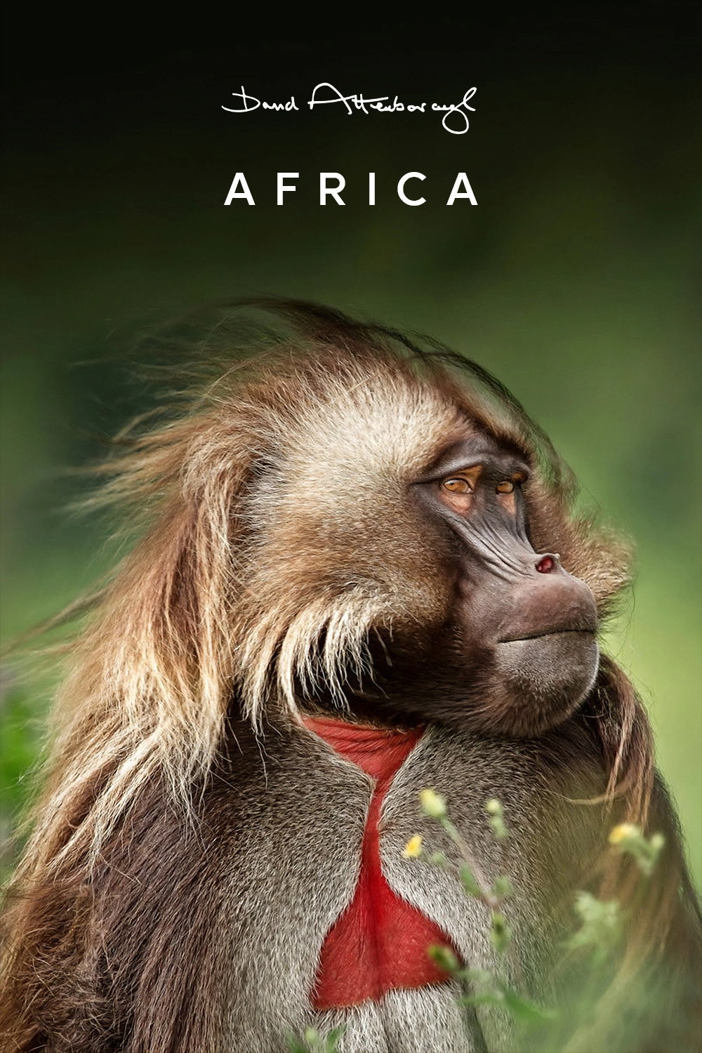 Africa