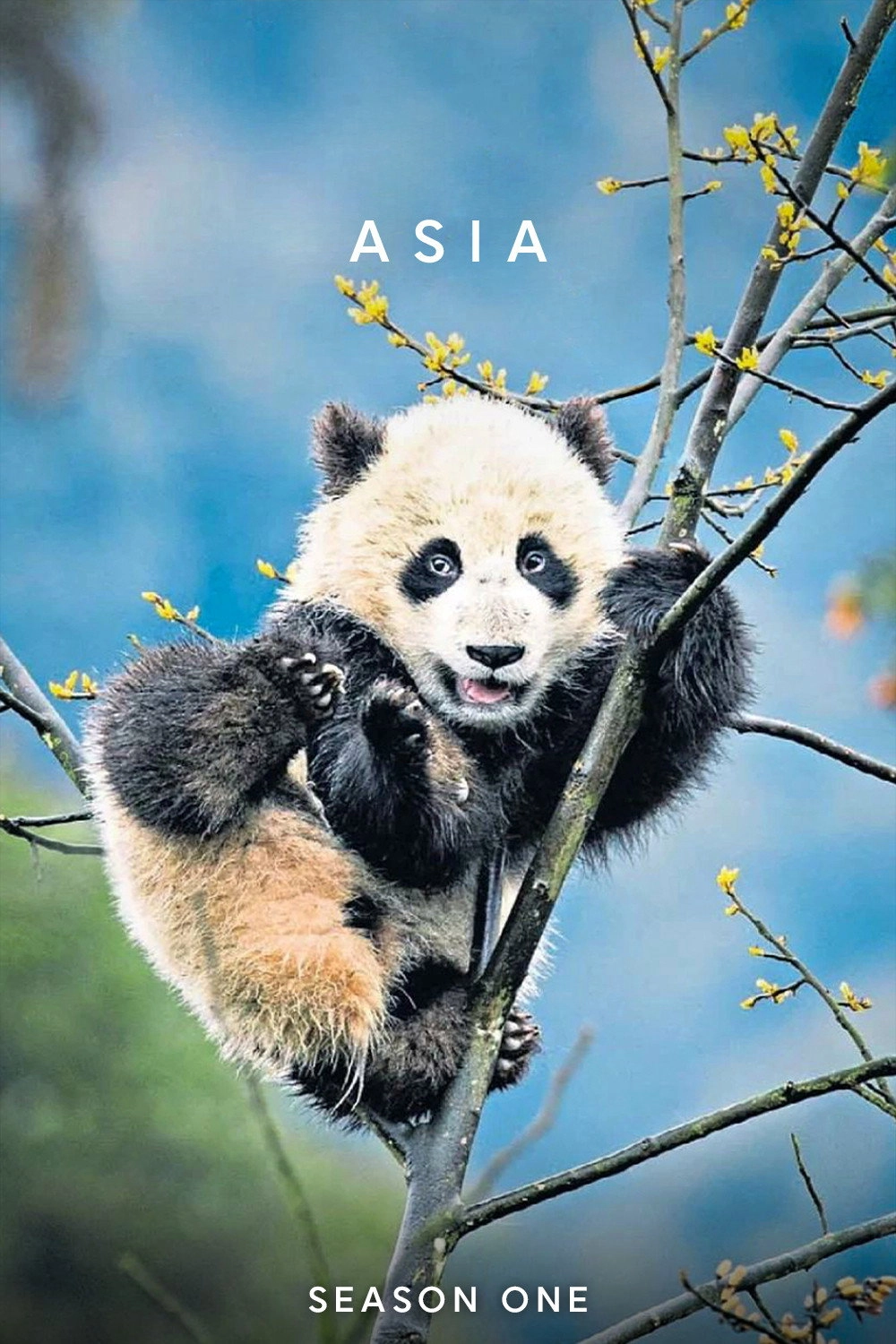 Asia