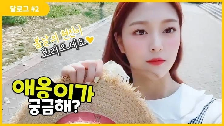 LOONA Log