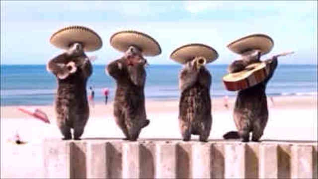 Les Marmottes