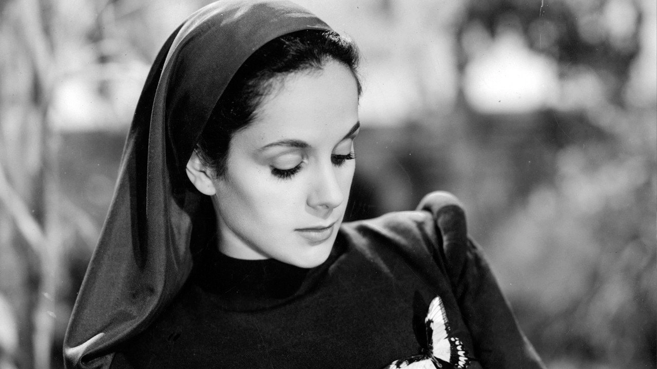 Rosa de América
