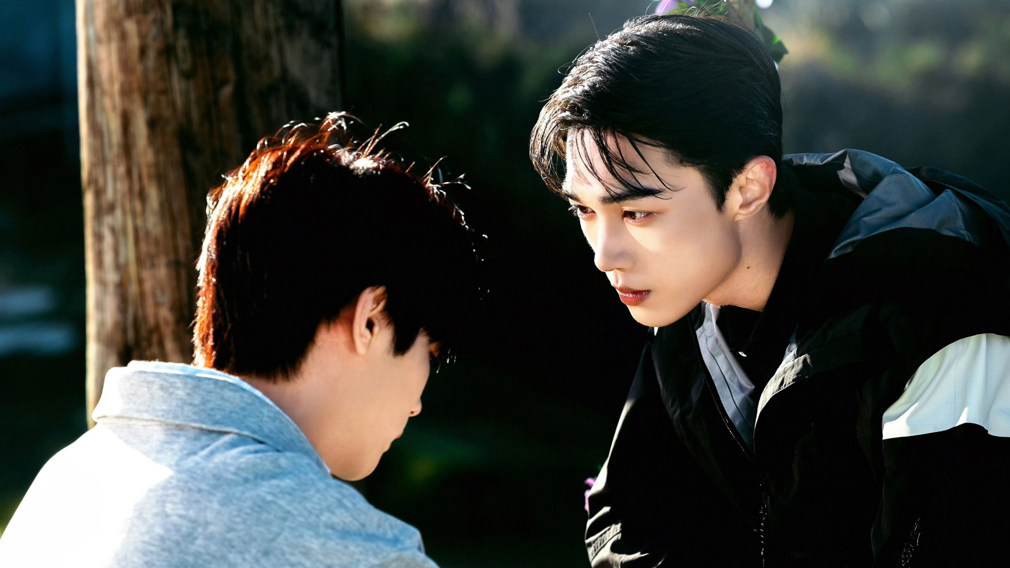 The Gaze