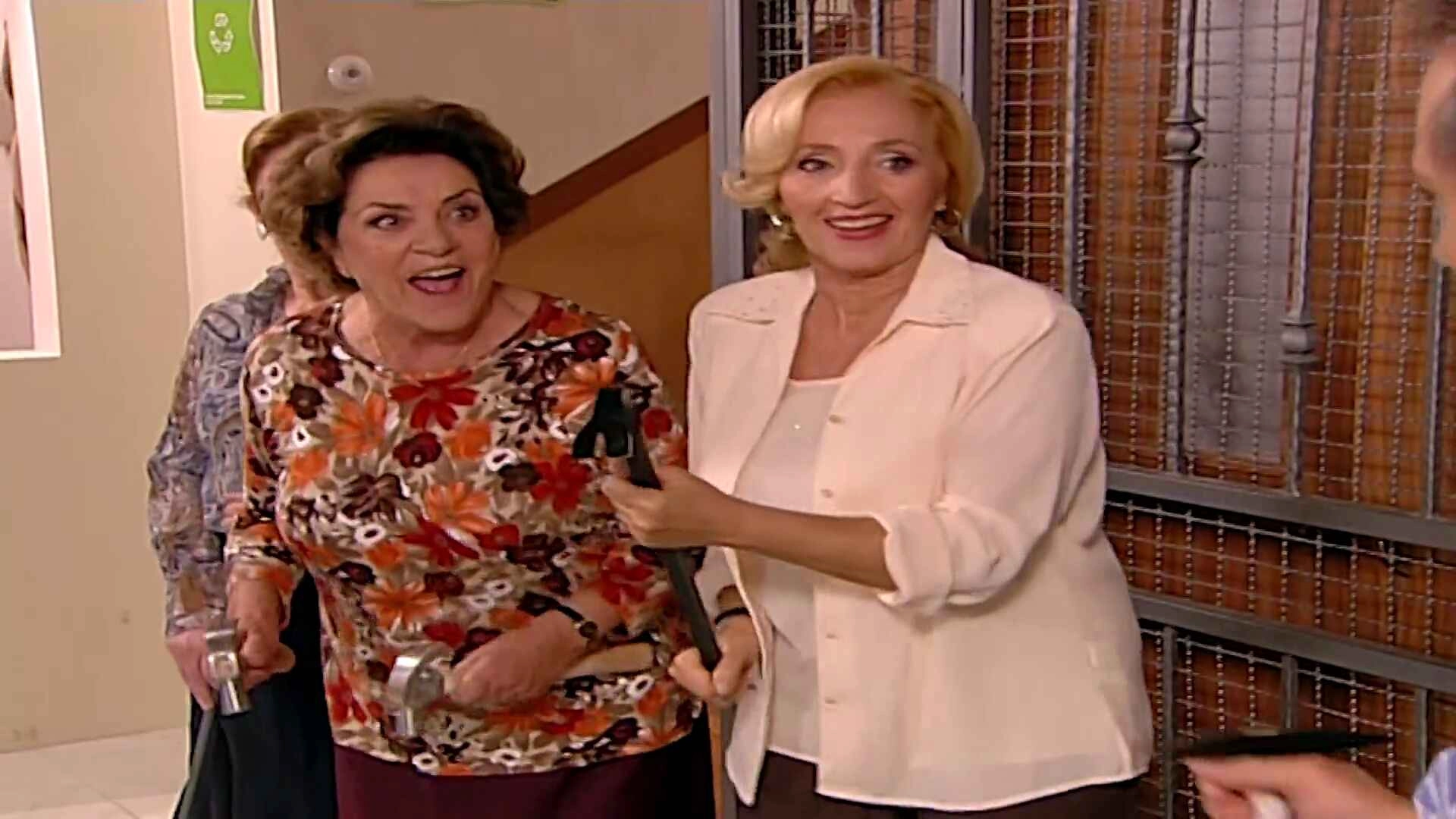 Aqui Não Há Quem Viva
