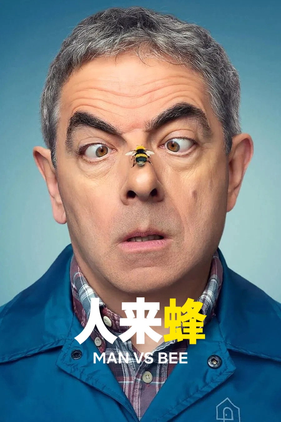 Man vs Bee