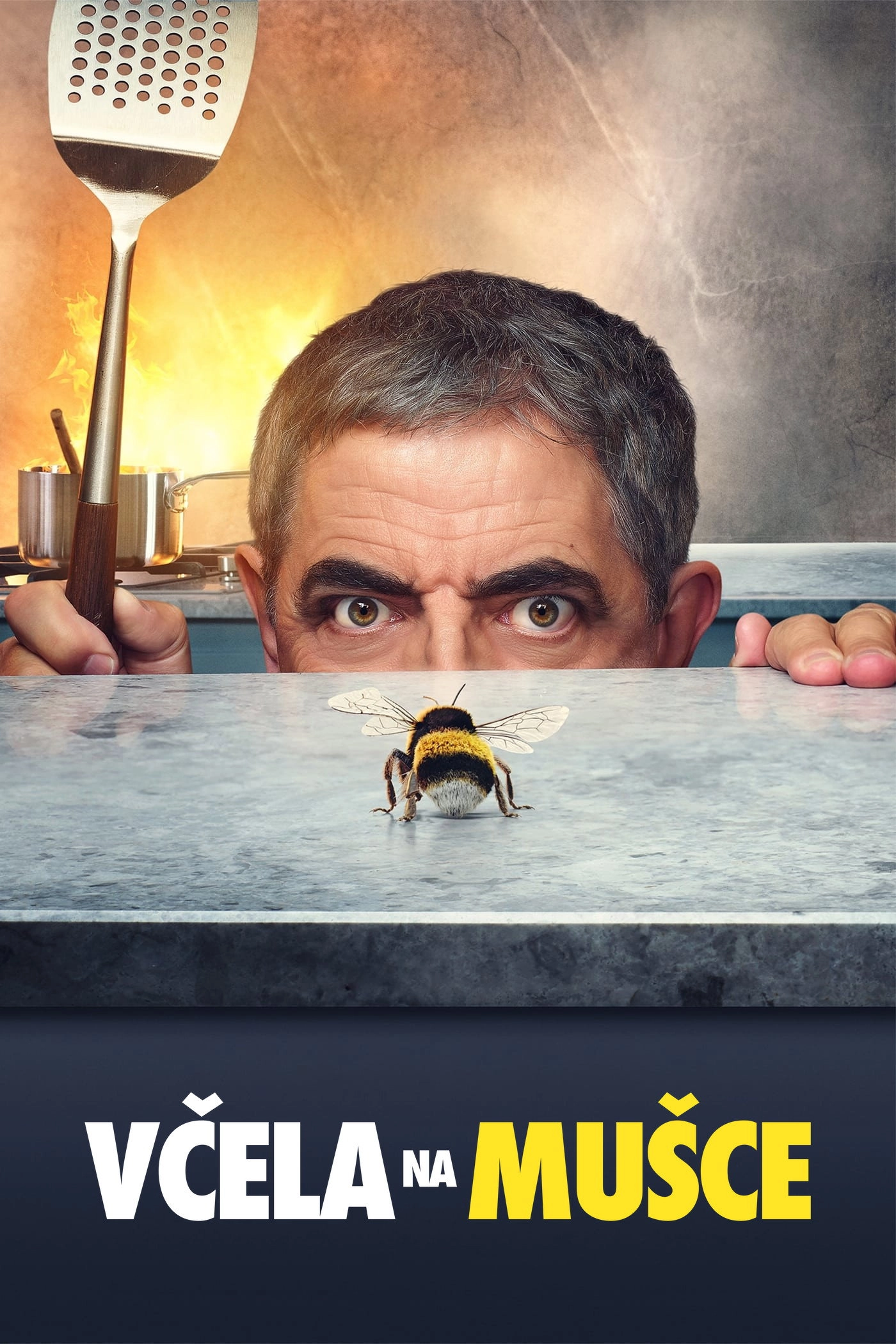 Man vs Bee