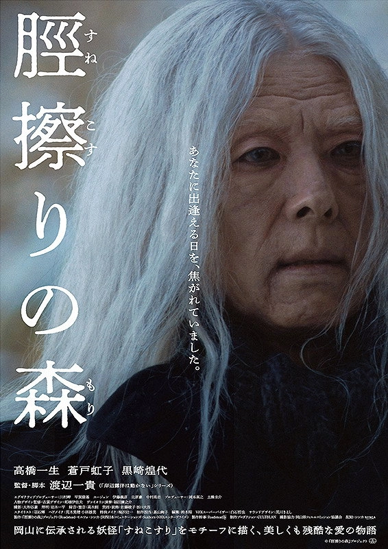 The Forest of Sunekosuri