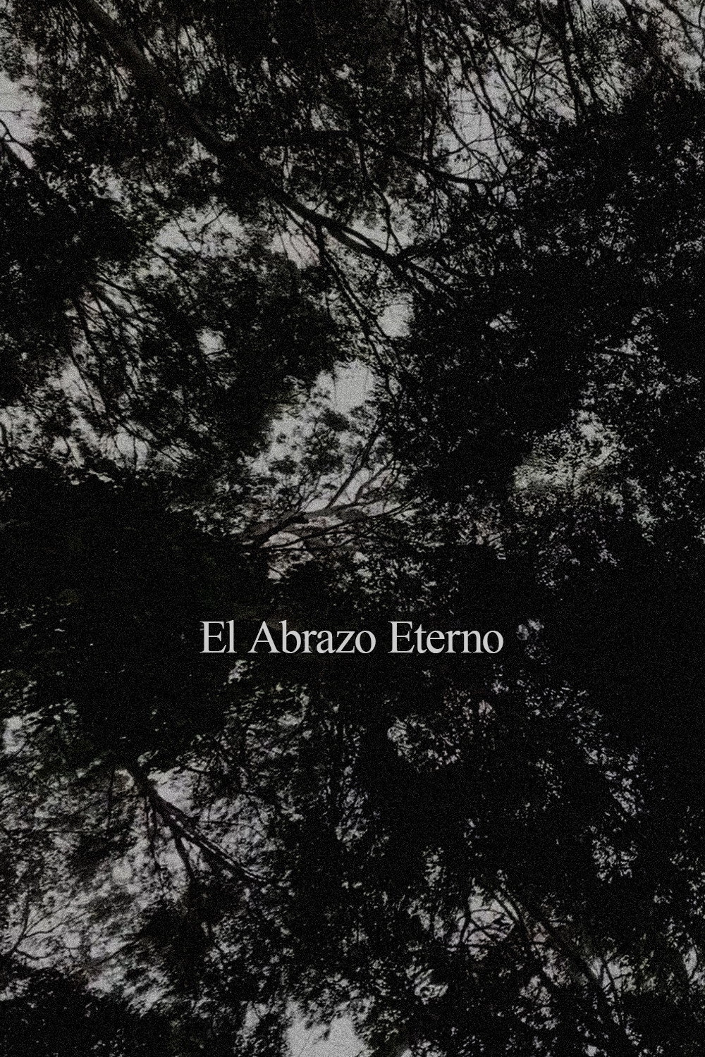 El Abrazo Eterno
